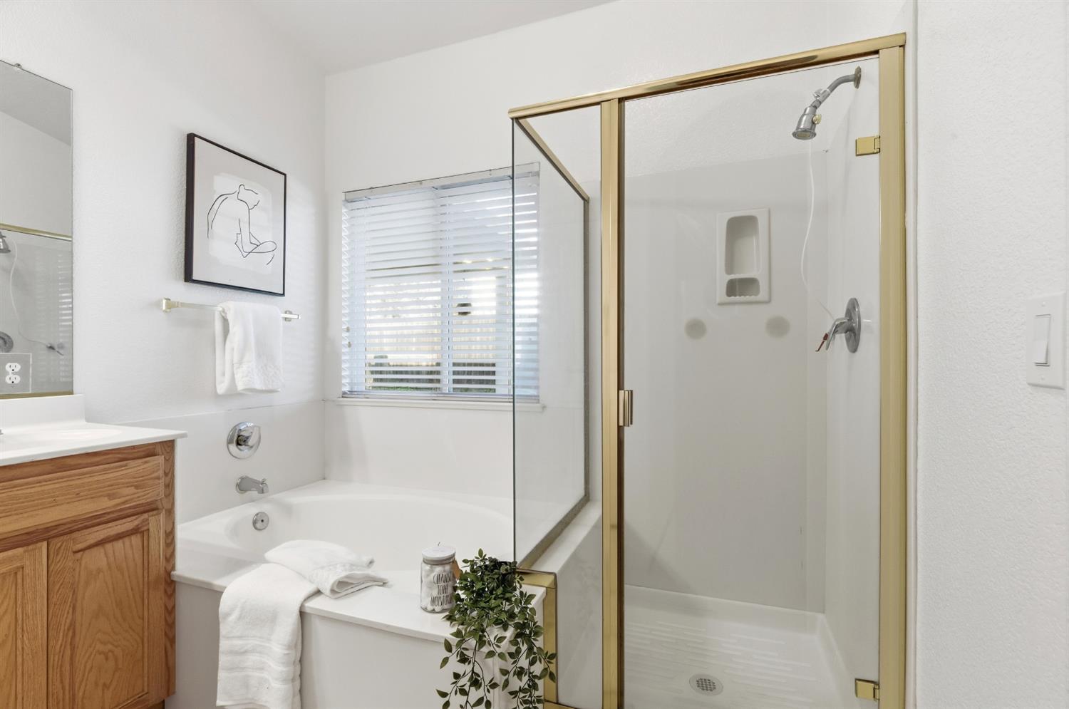 1131 Meadowbrook Court