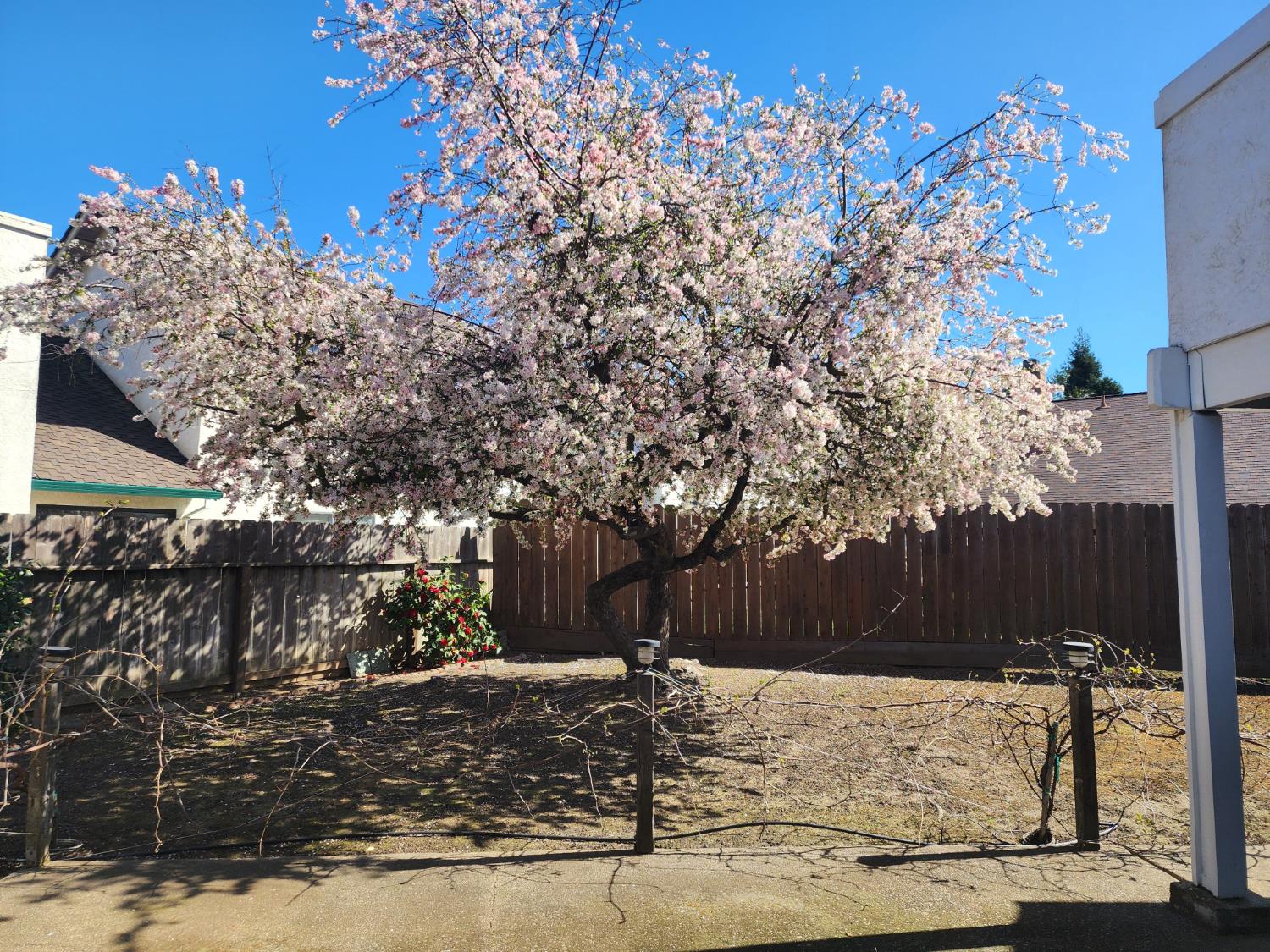 605 Sandpiper Circle