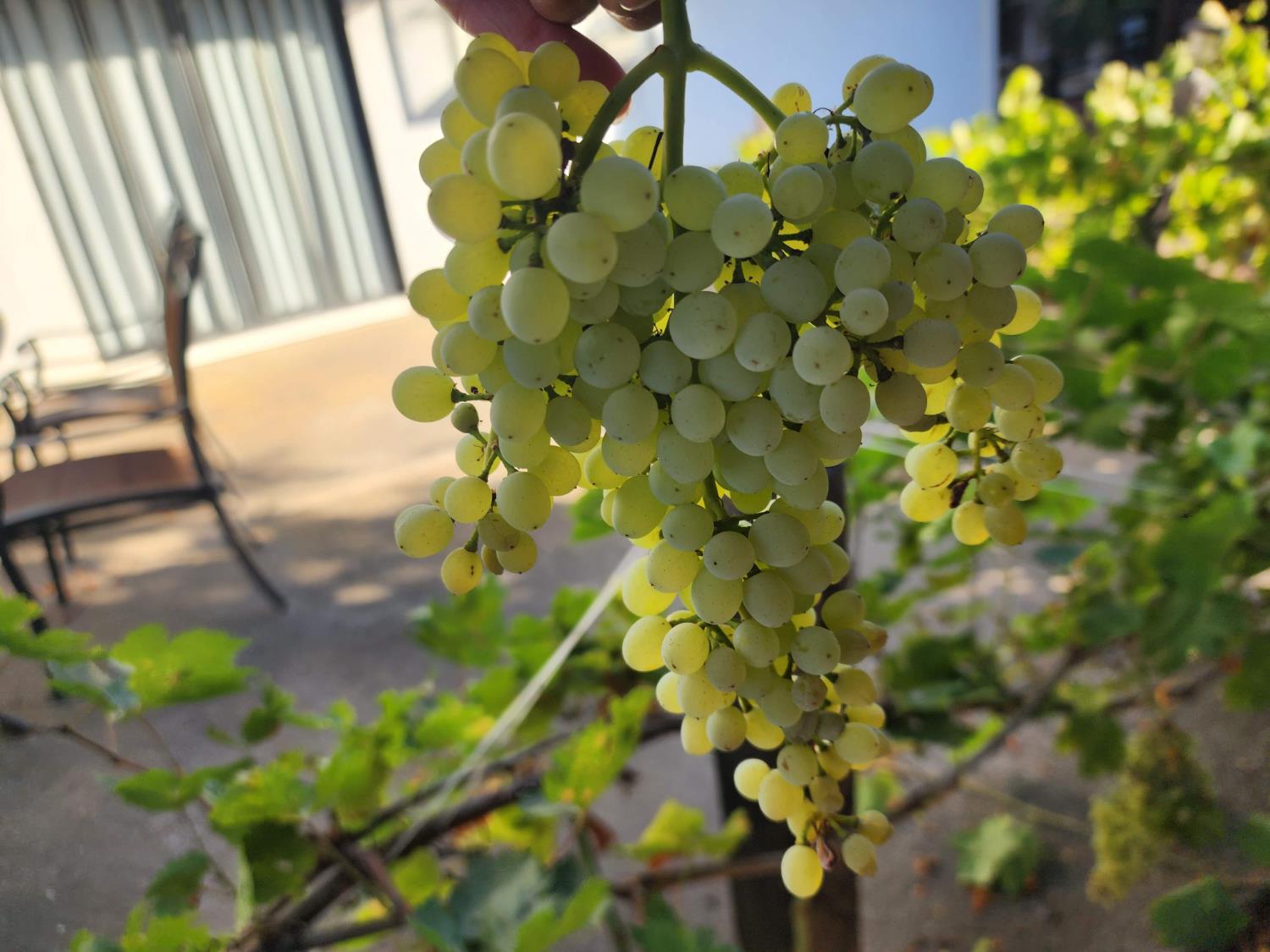 605 Sandpiper Circle