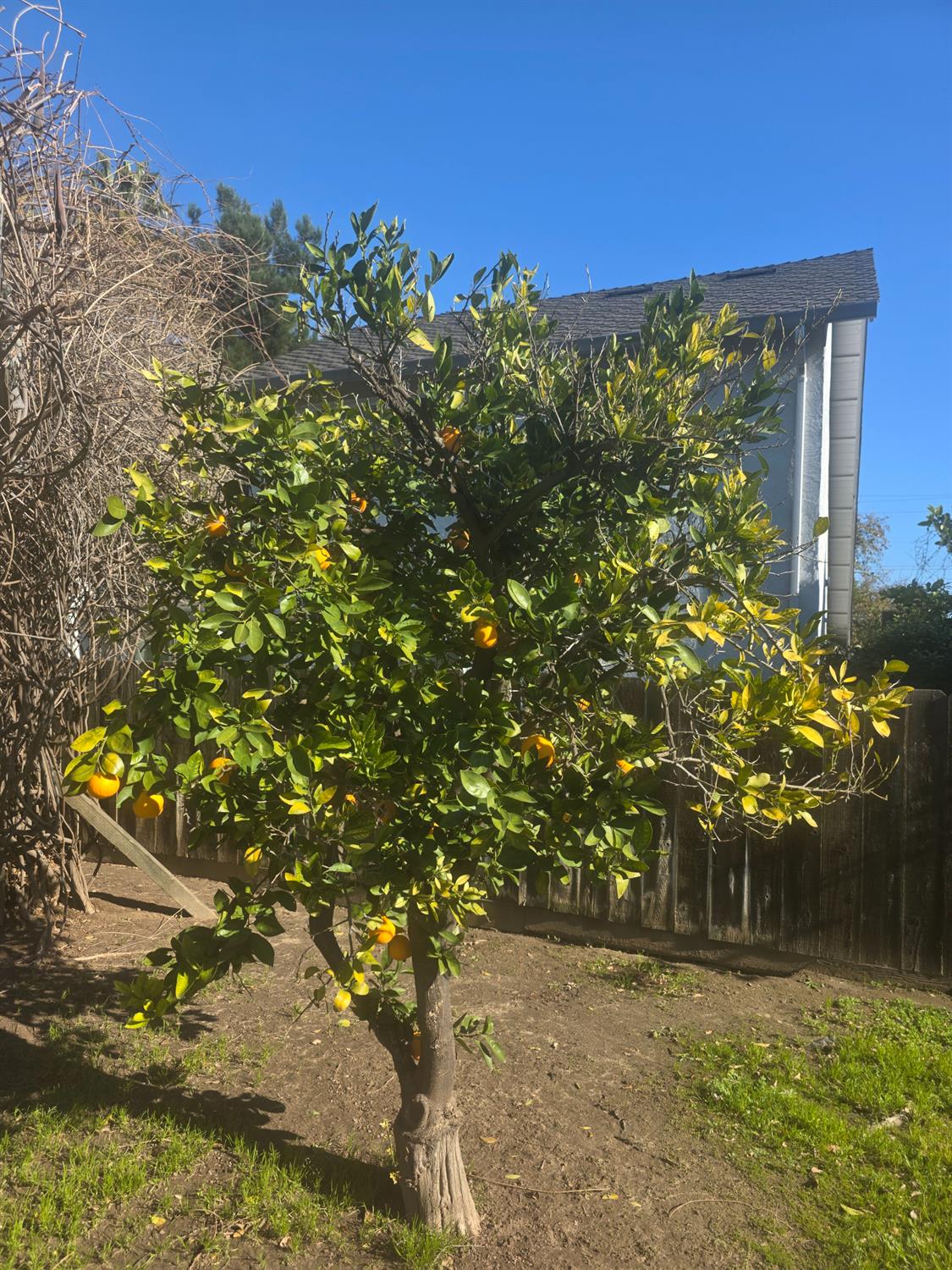 605 Sandpiper Circle