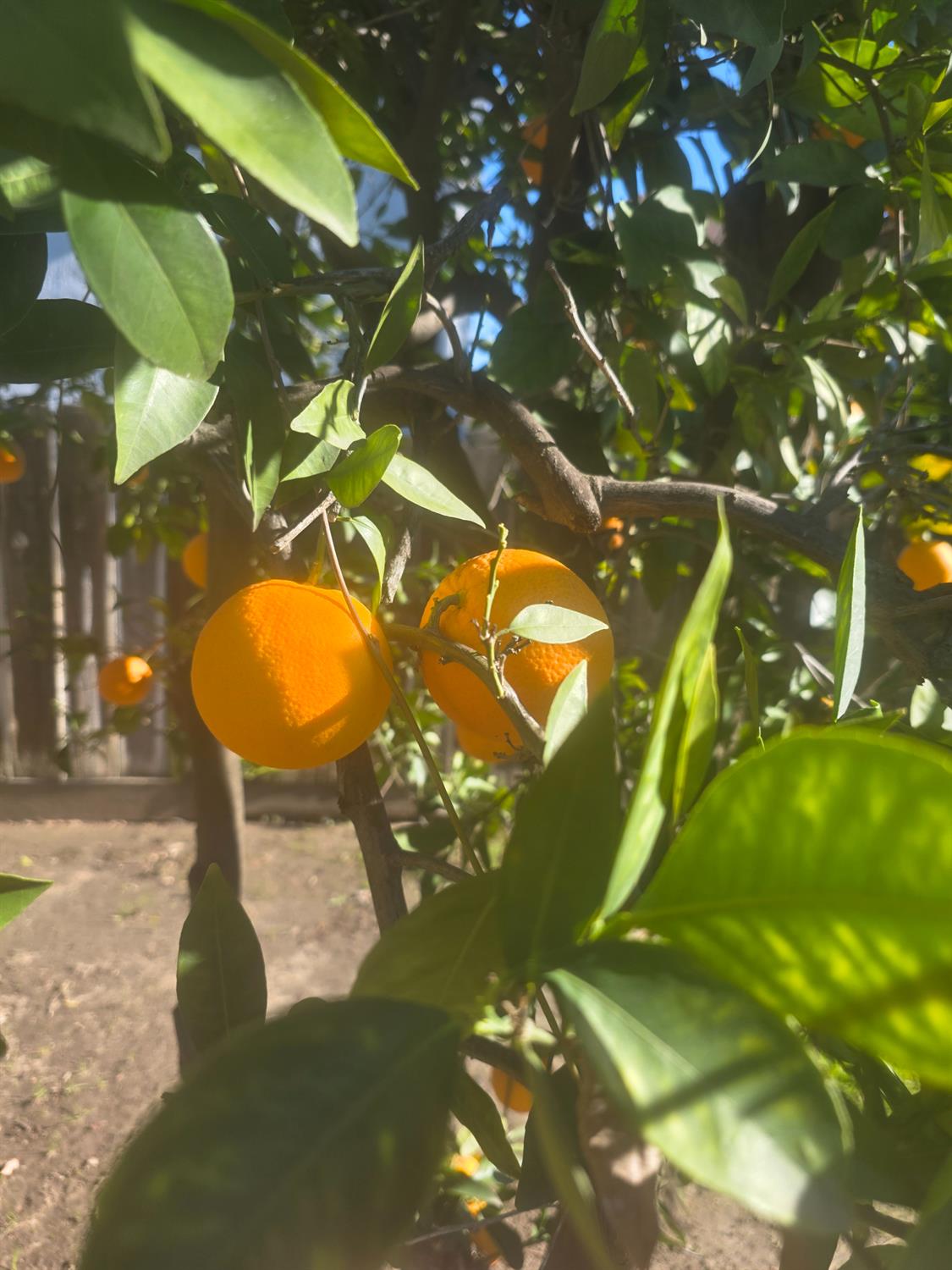 605 Sandpiper Circle