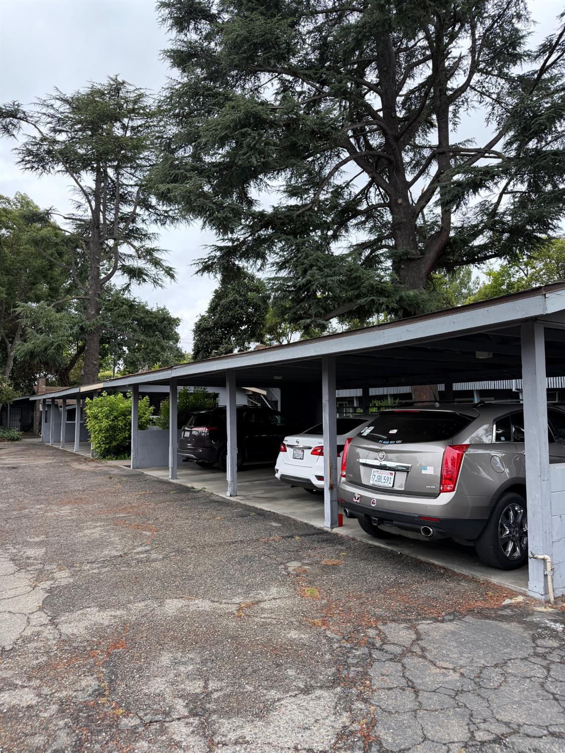 1707 W Swain Road 12