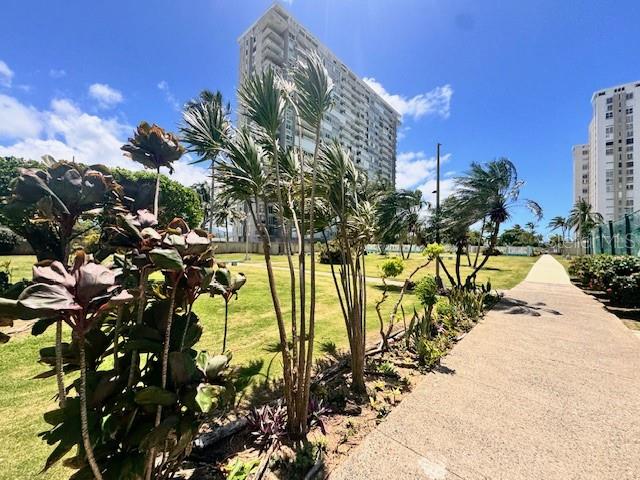 Ocean Drive 100 #806