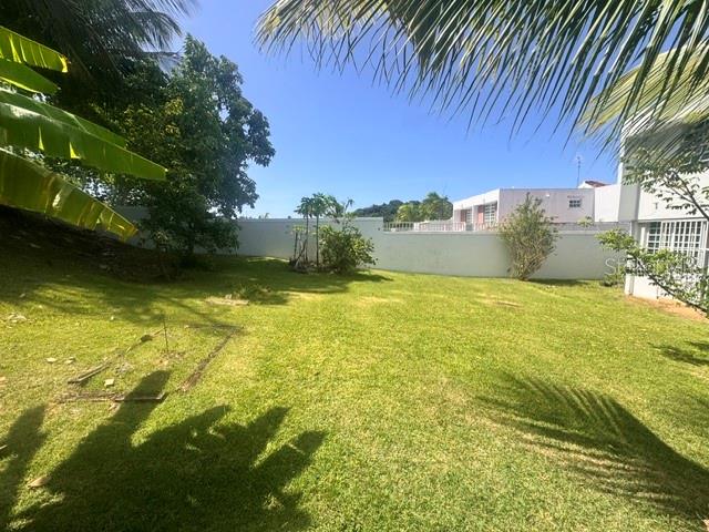 03 RIO MAMEYES