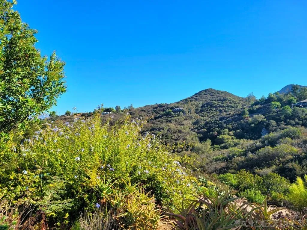 16257 Quail Rock Road