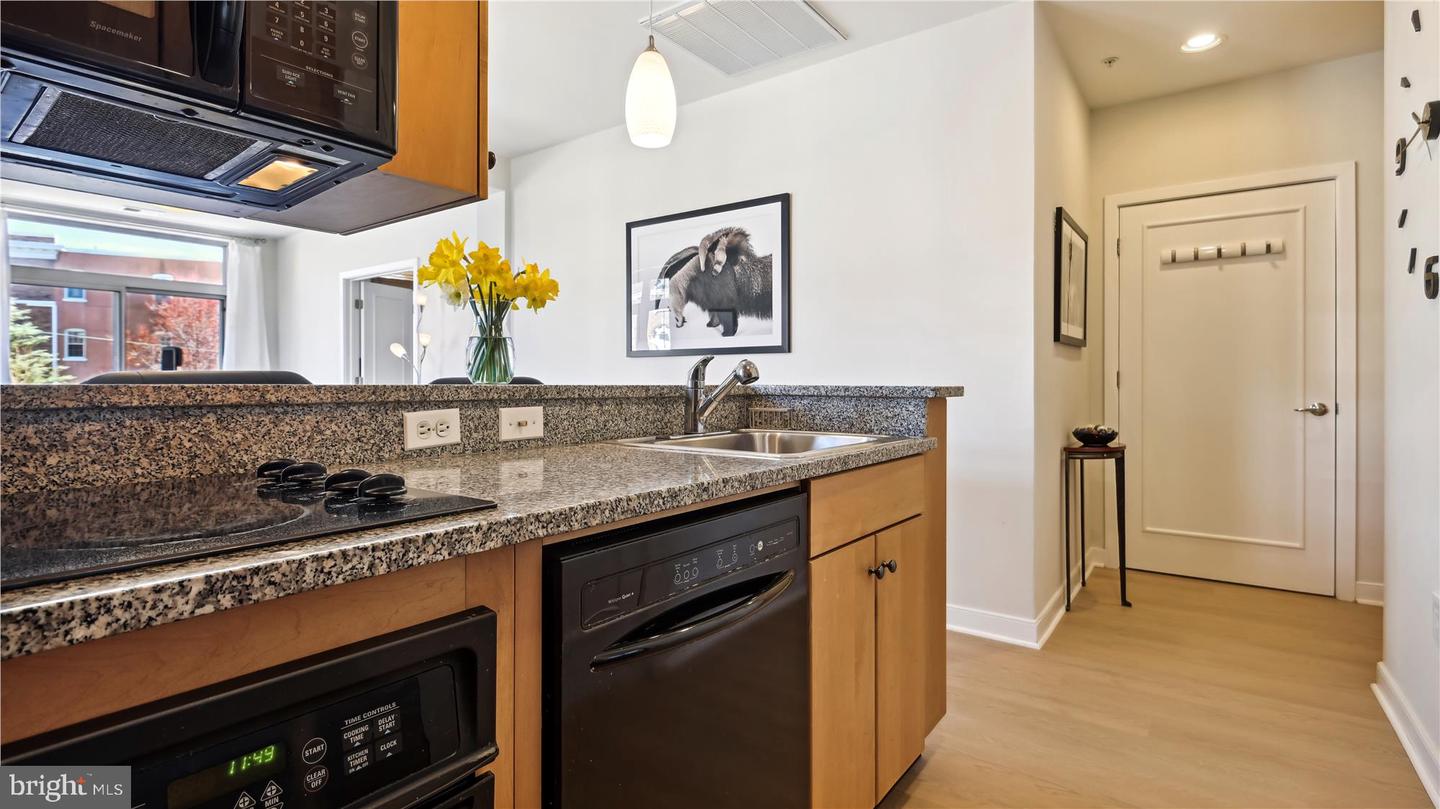 4025 Connecticut Ave NW #303