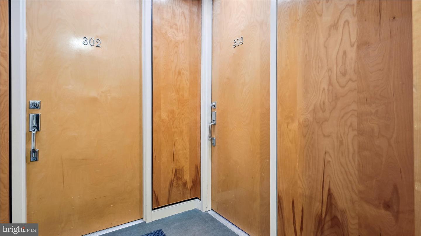 4025 Connecticut Ave NW #303