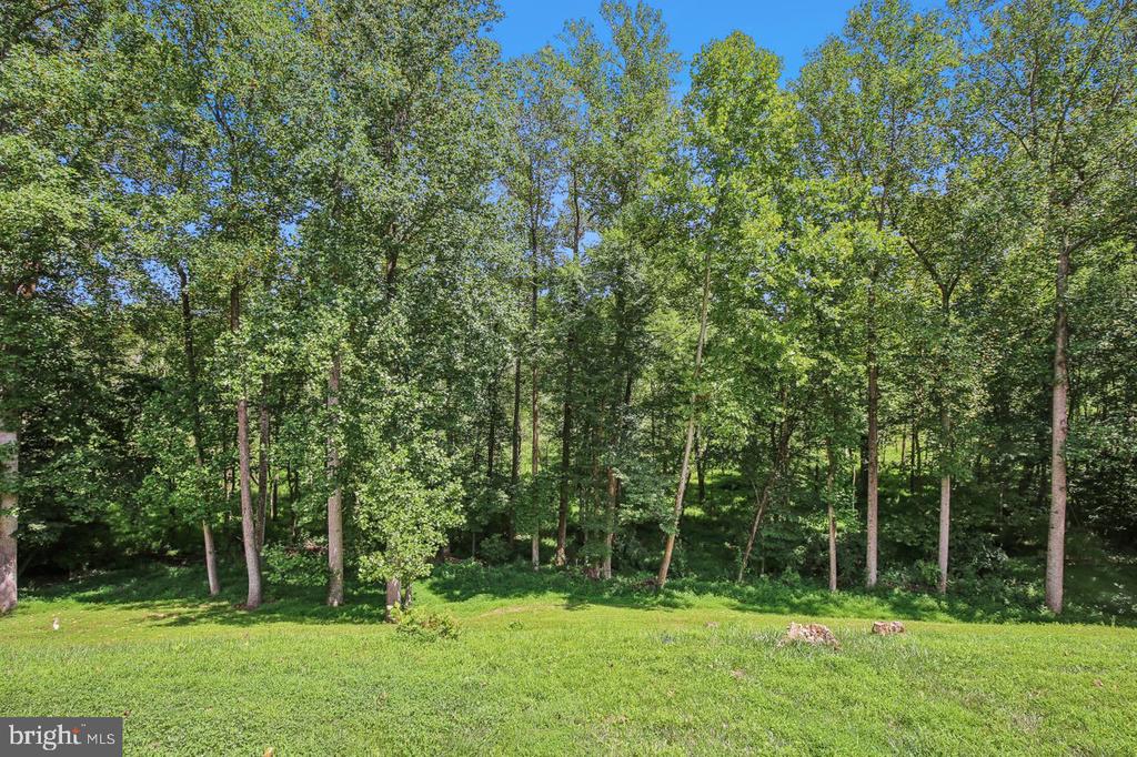 1409 Wynhurst Ln