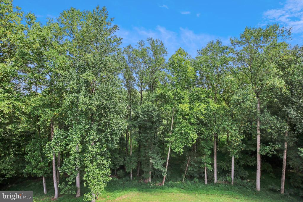 1409 Wynhurst Ln