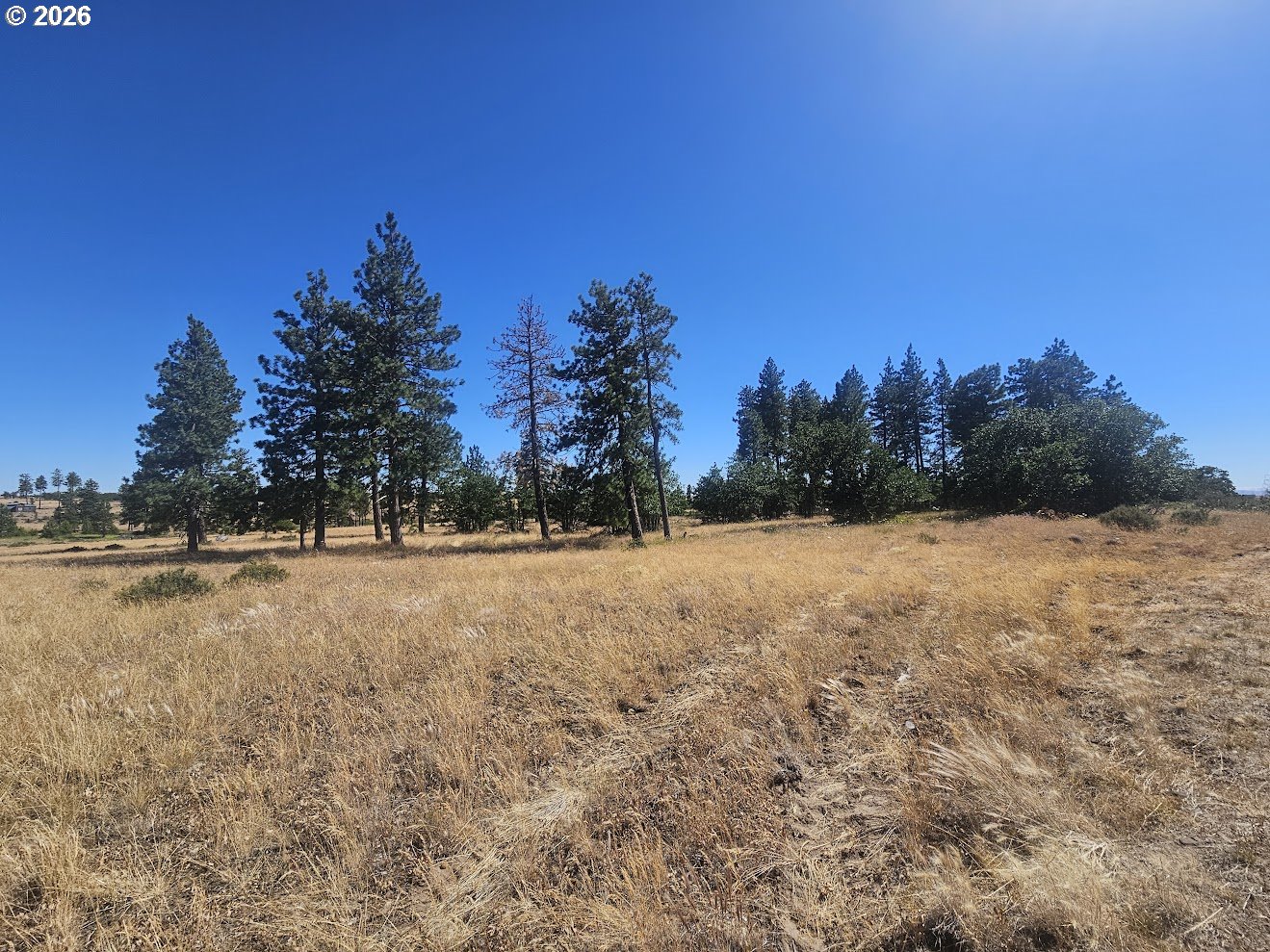 67 TIMBER LN