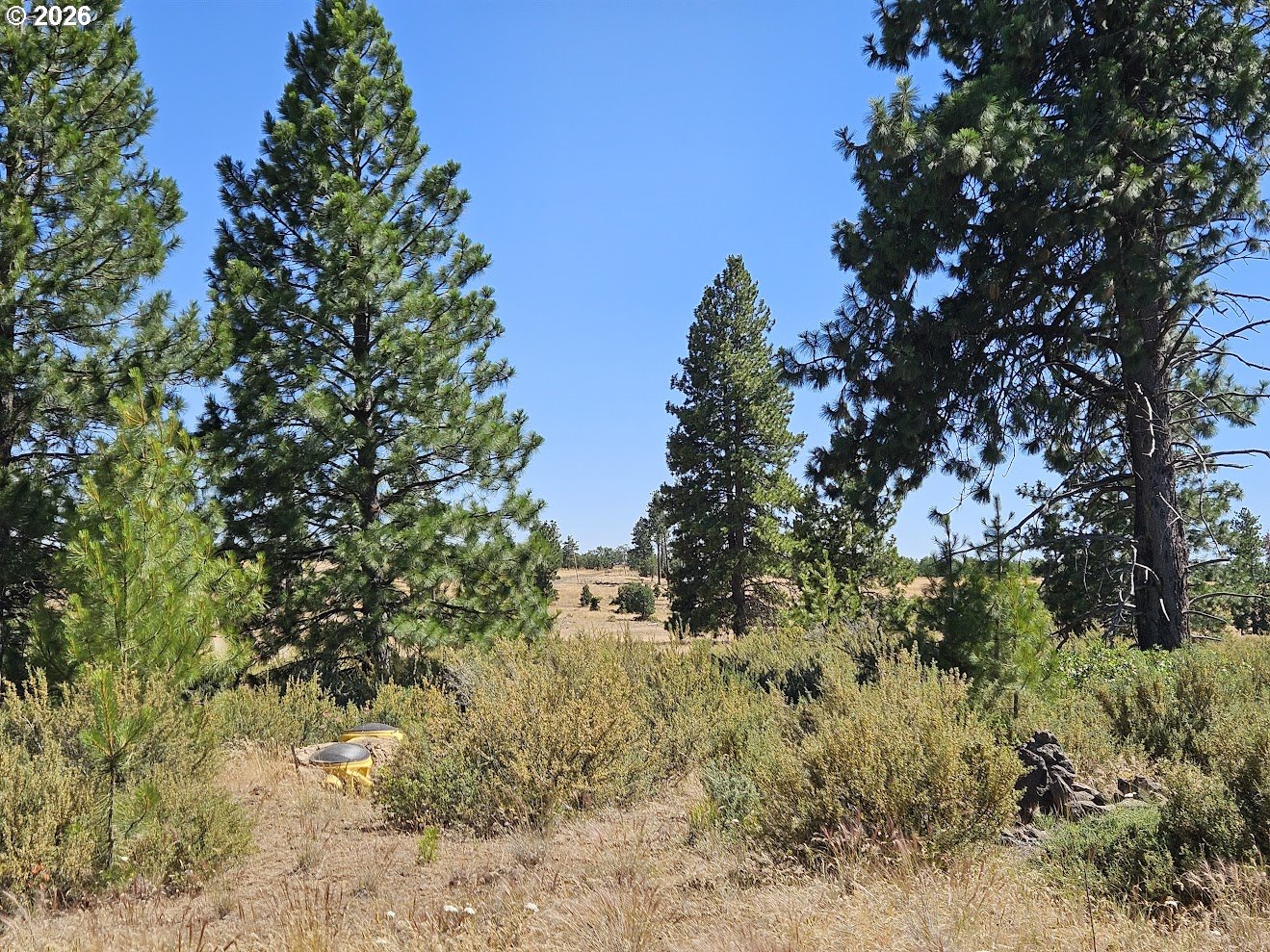 67 TIMBER LN