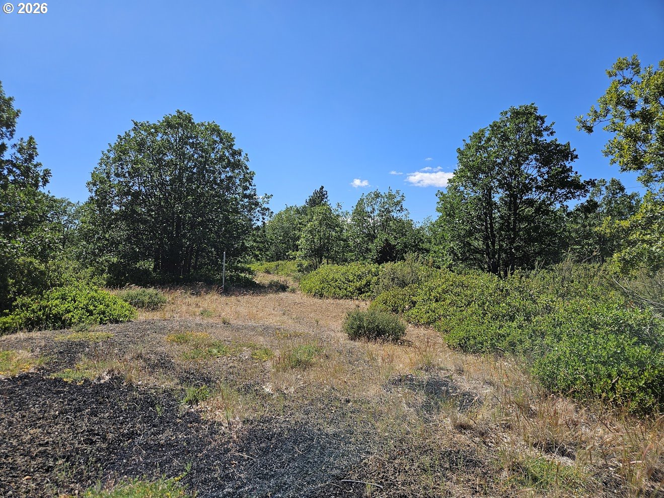67 TIMBER LN