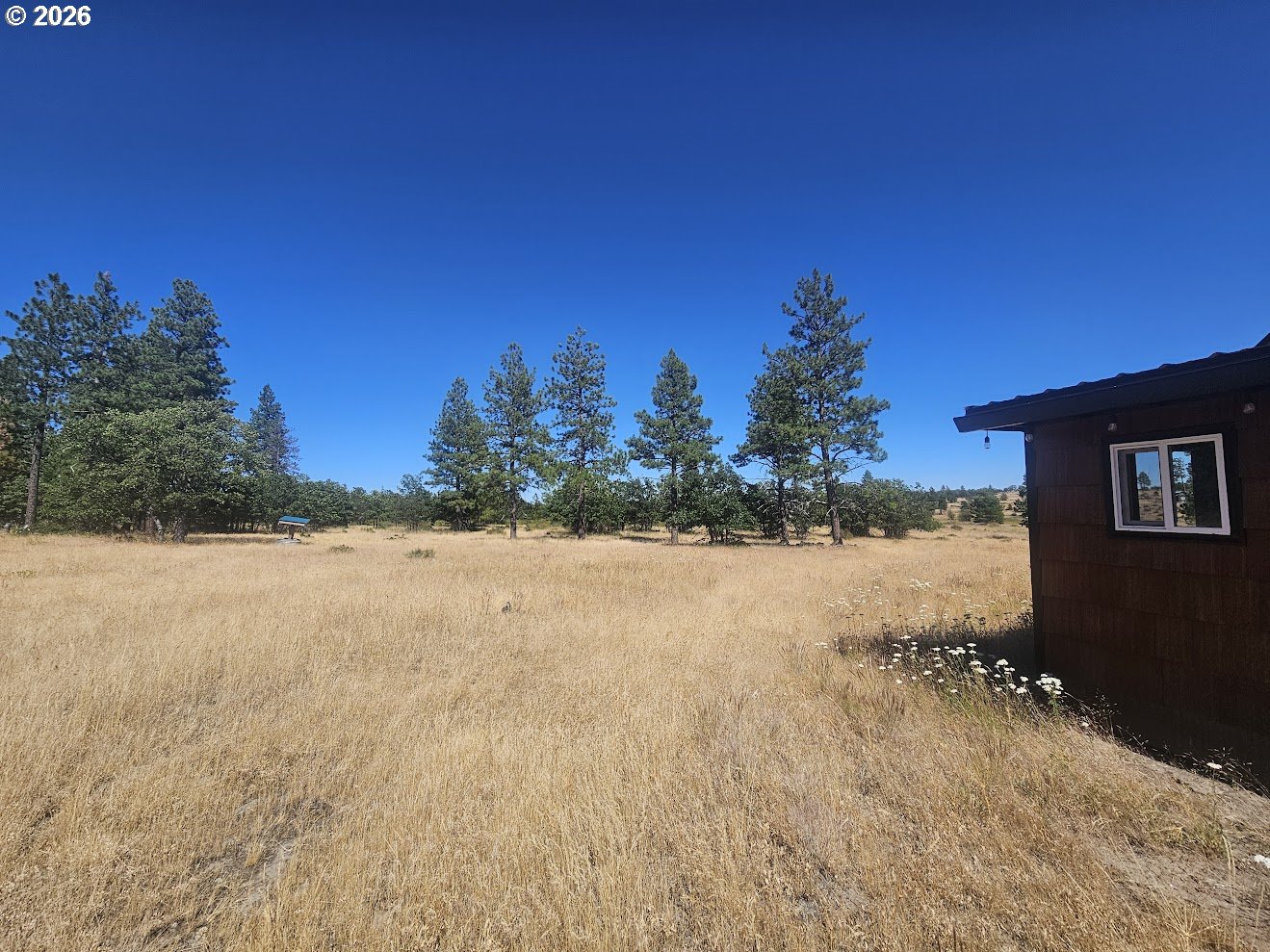 67 TIMBER LN