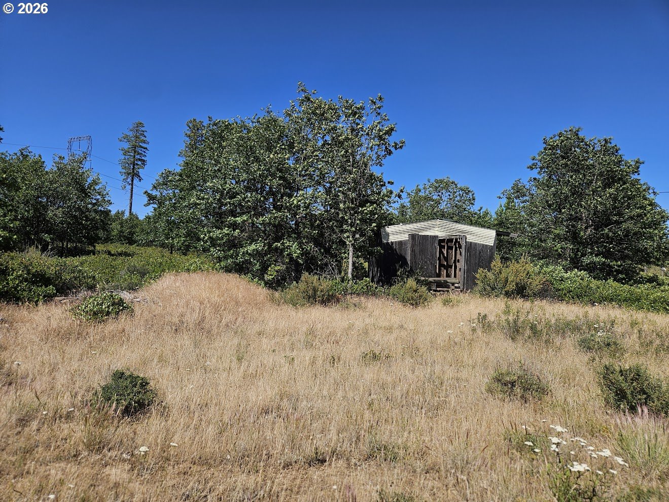 67 TIMBER LN