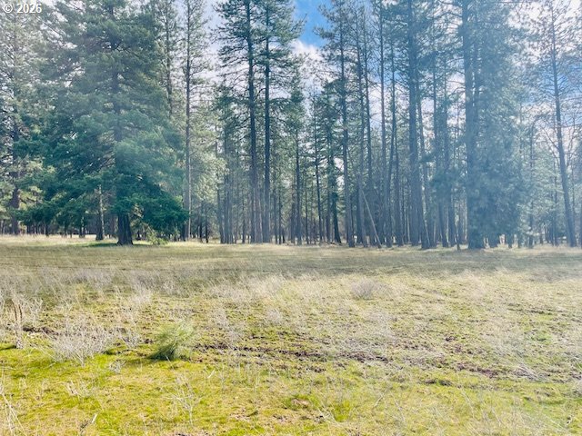 Orchard Heights RD Lot 1