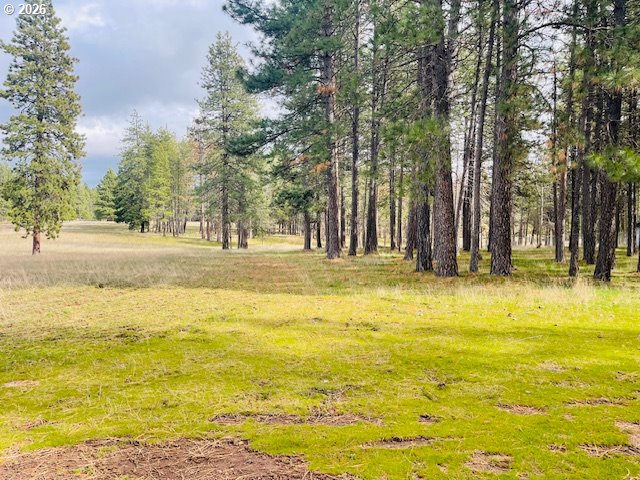 Orchard Heights RD Lot 1