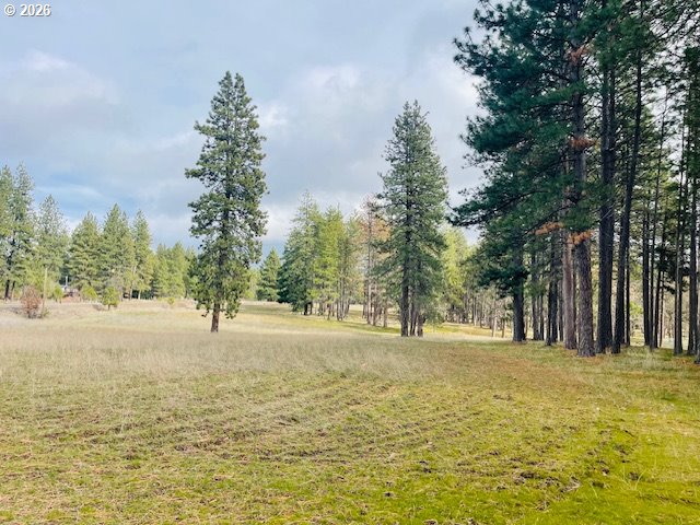 Orchard Heights RD Lot 1