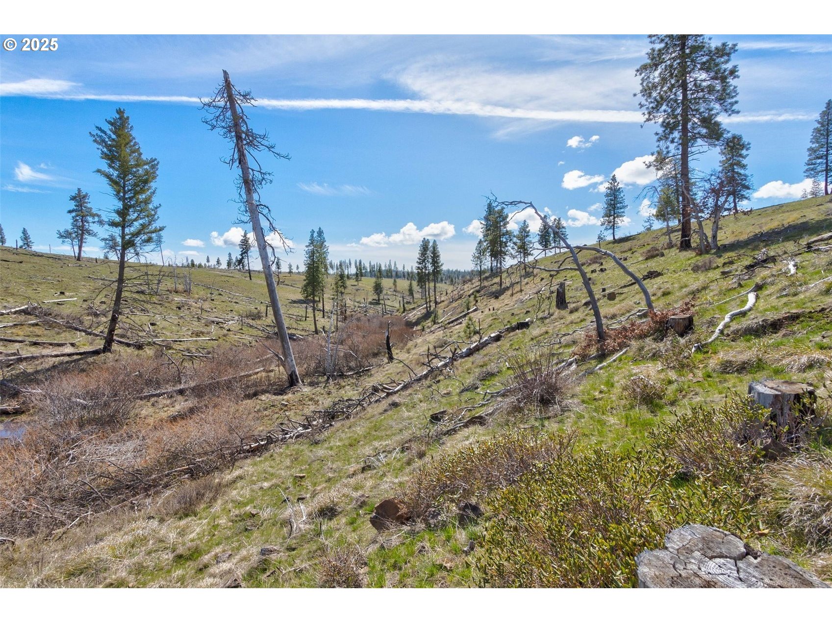 1 2 BOX CANYON RD