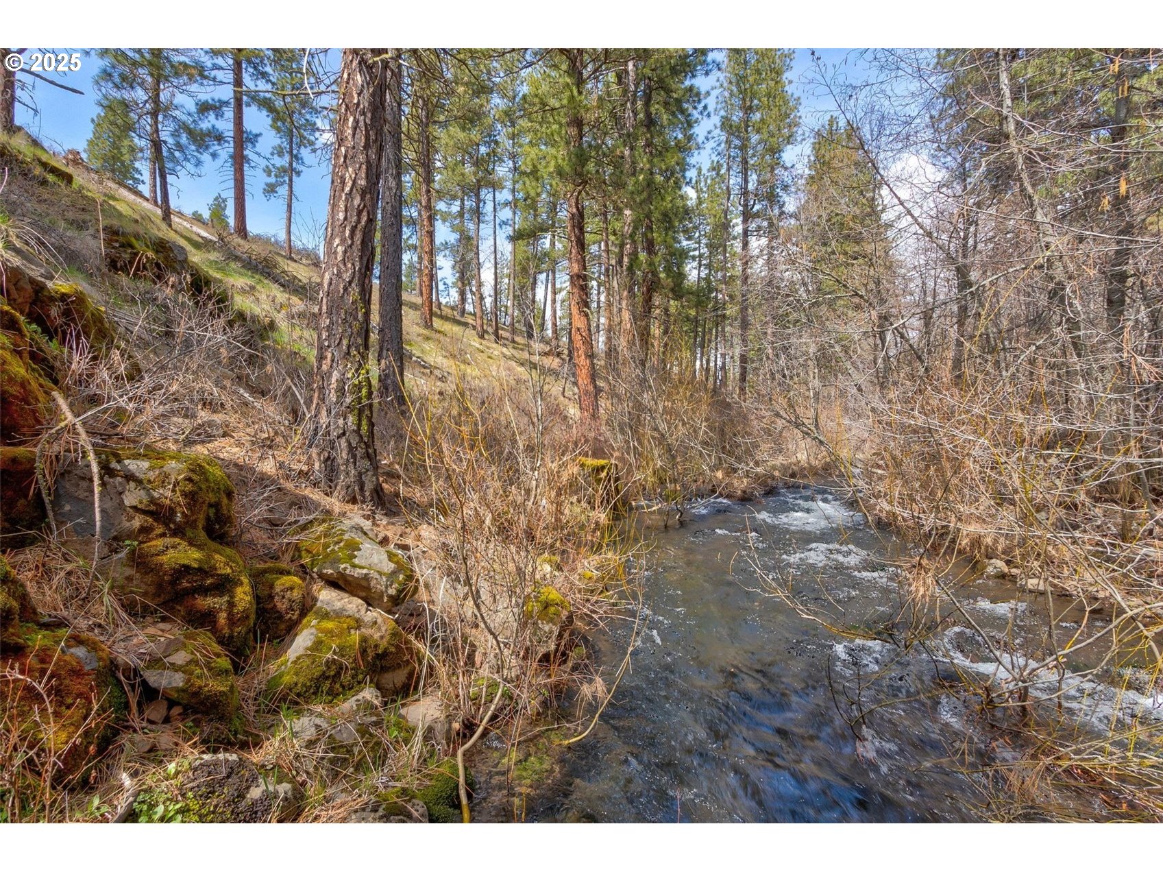 1 2 BOX CANYON RD