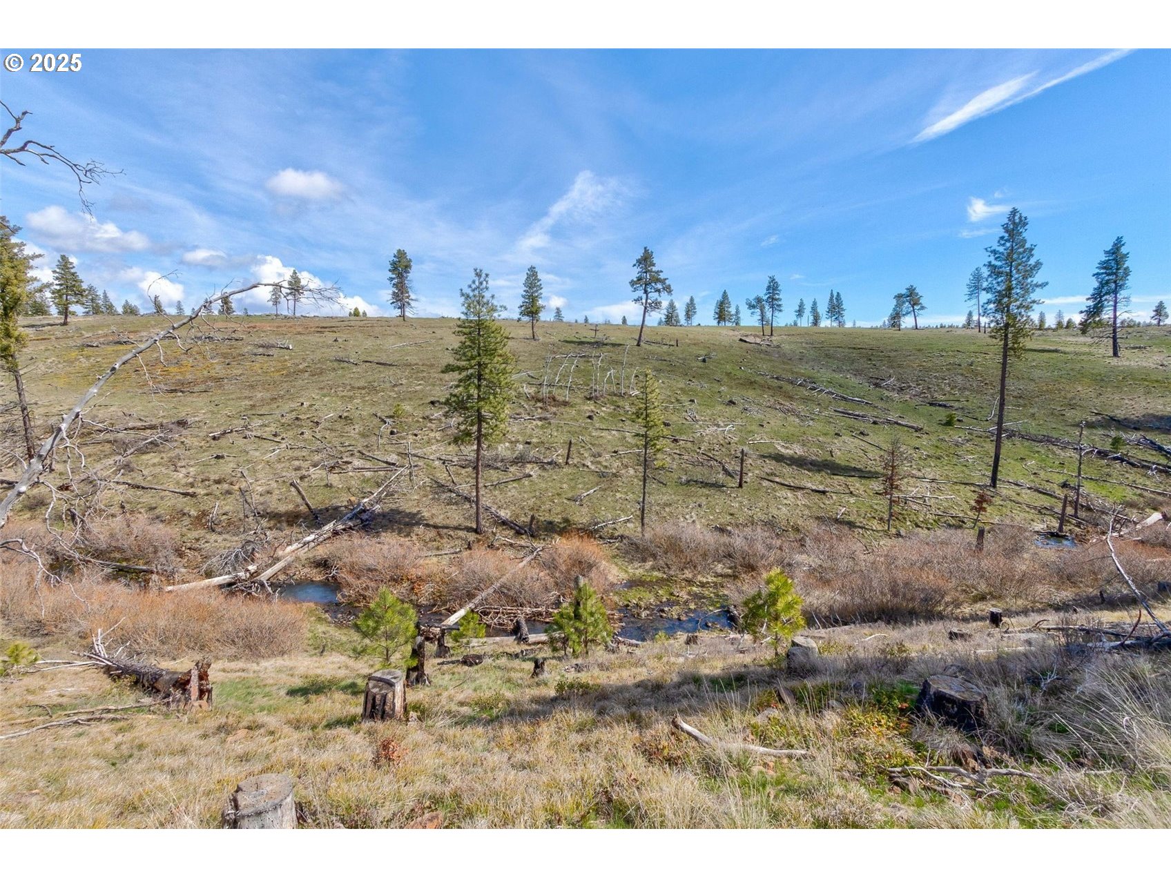 1 2 BOX CANYON RD