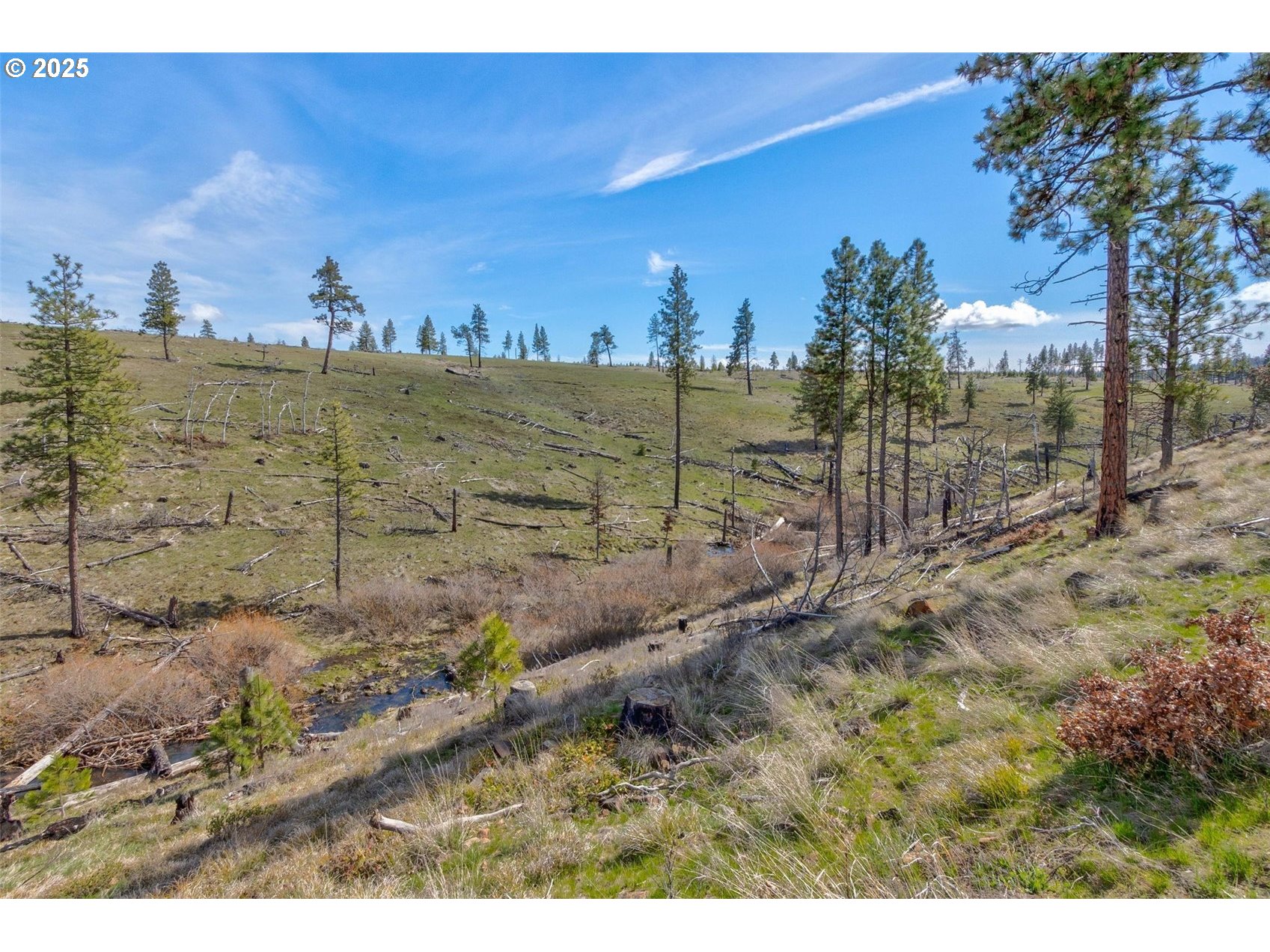 1 2 BOX CANYON RD