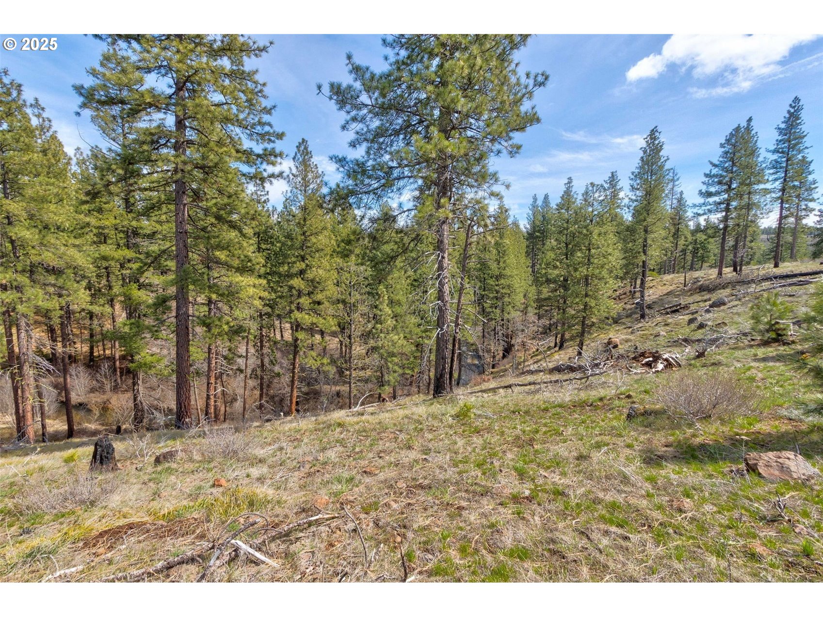 1 2 BOX CANYON RD