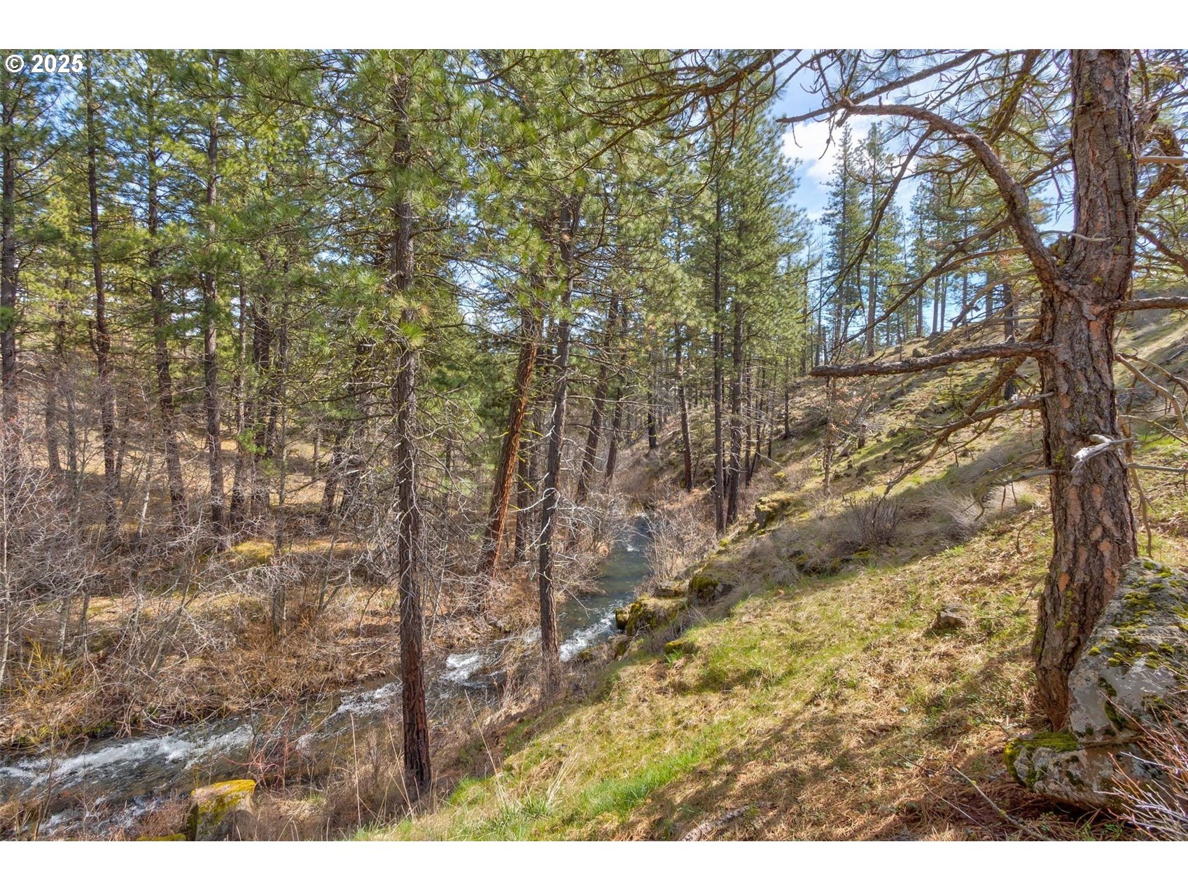1 2 BOX CANYON RD