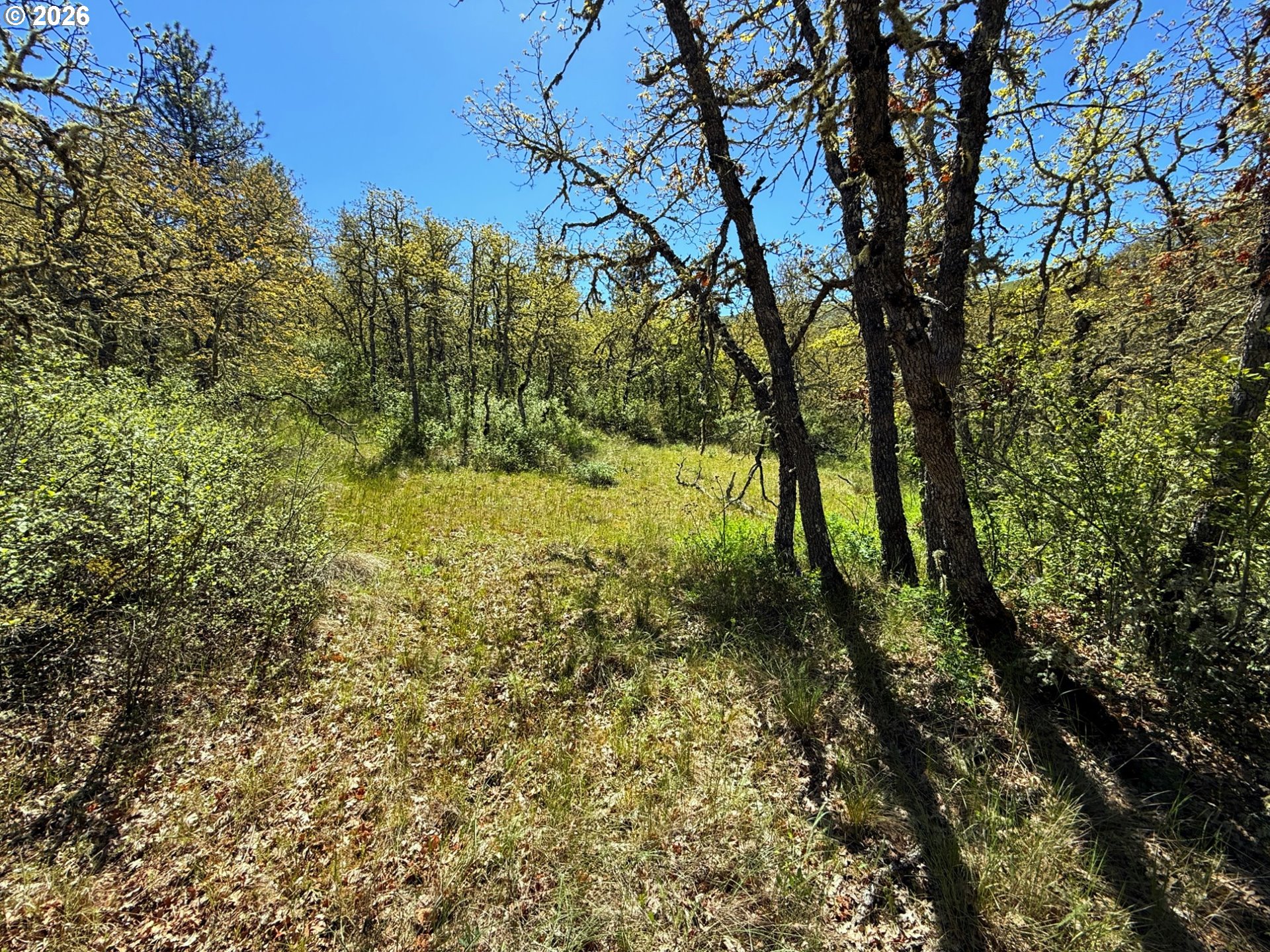 Kestrel RD