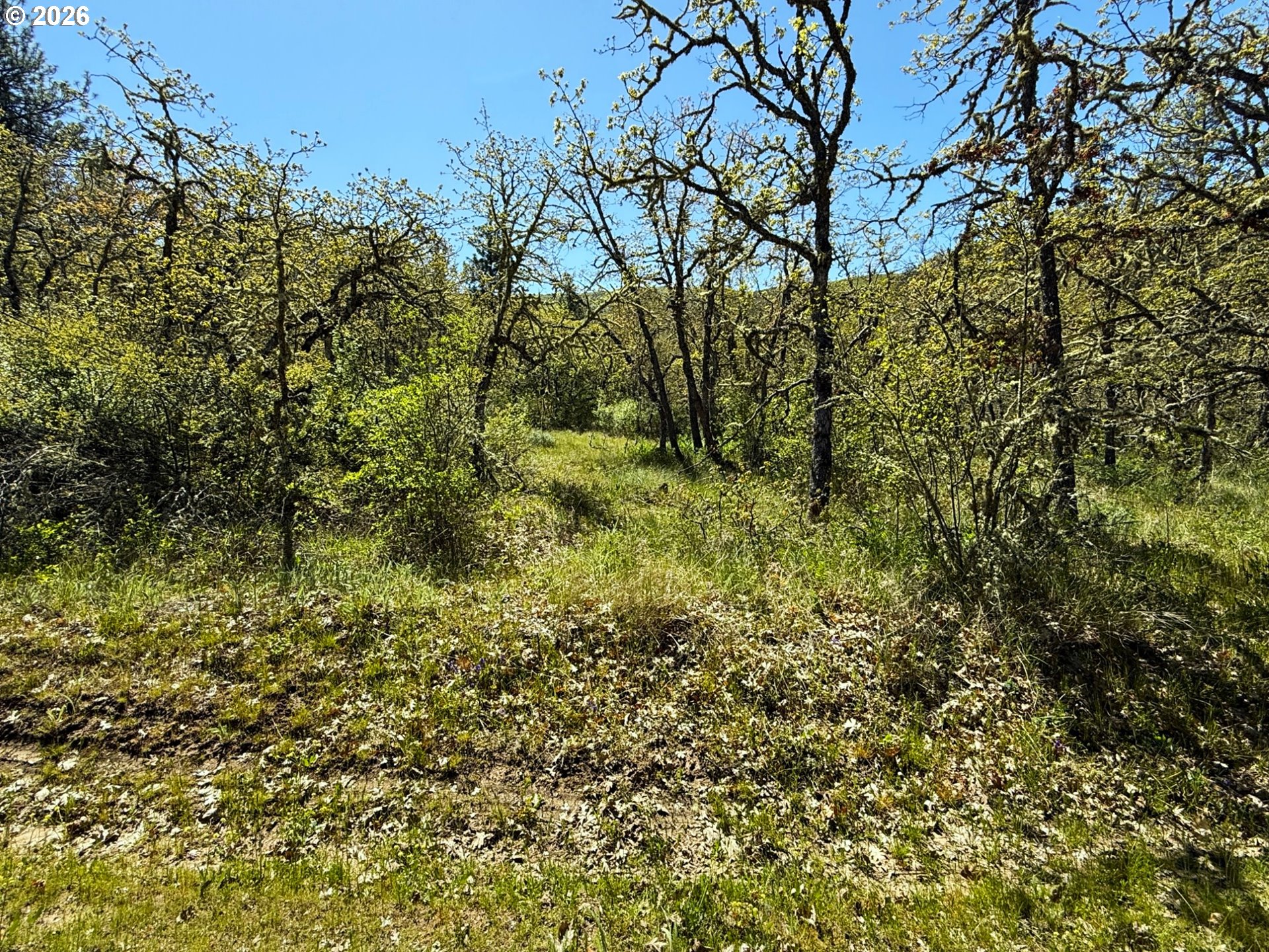 Kestrel RD