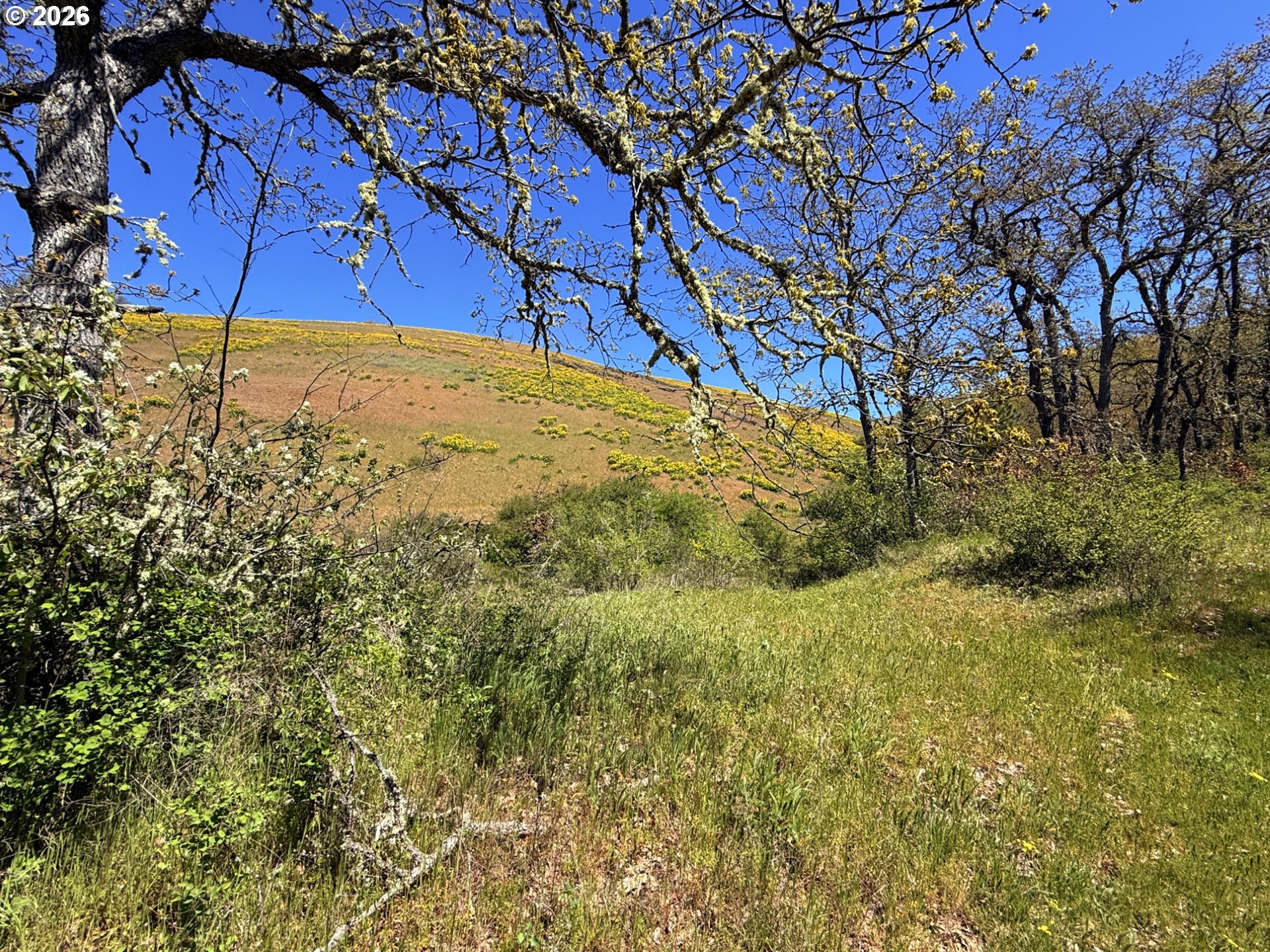 Kestrel RD