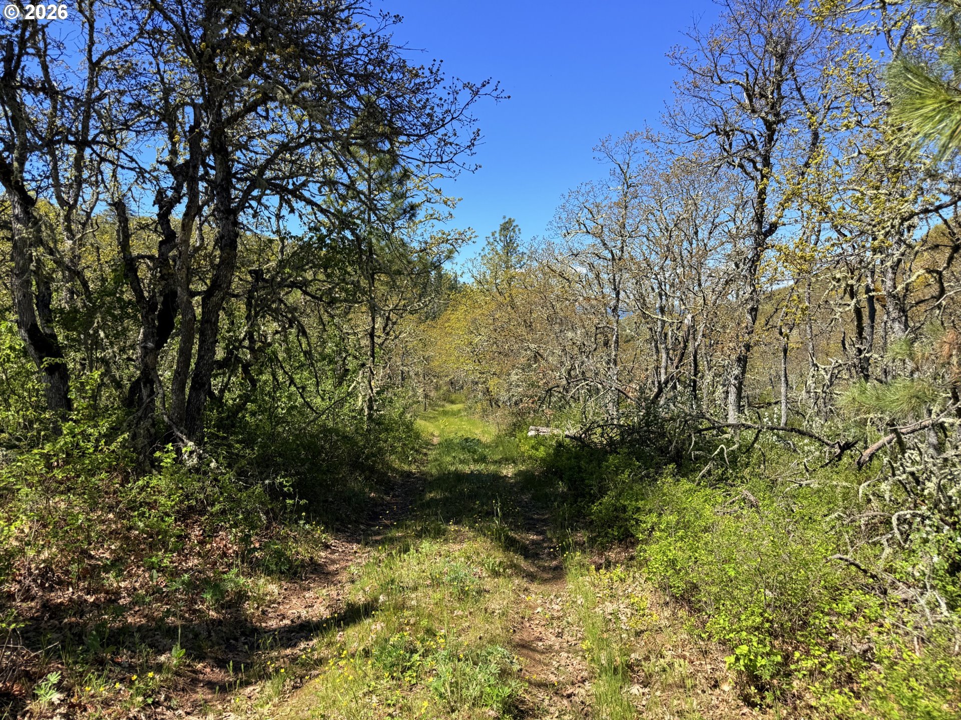 Kestrel RD