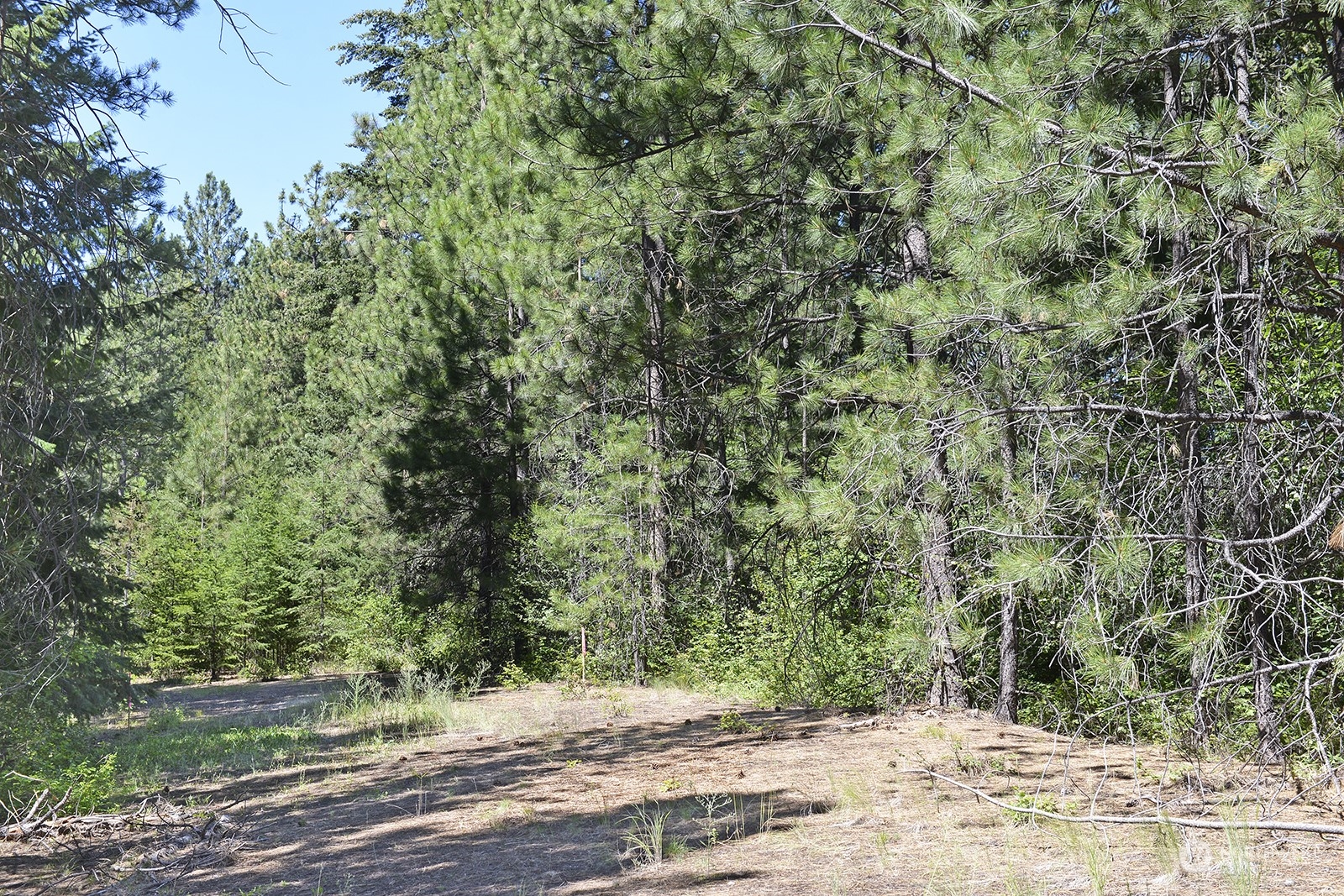9 Methow Ranch Road