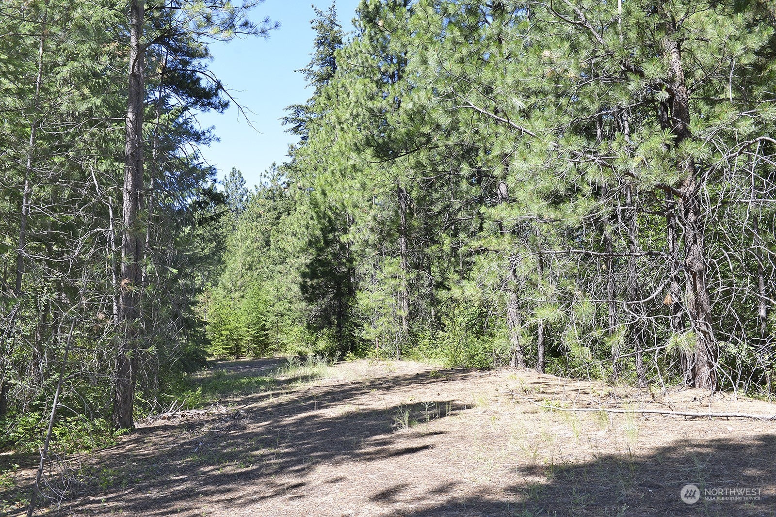 9 Methow Ranch Road