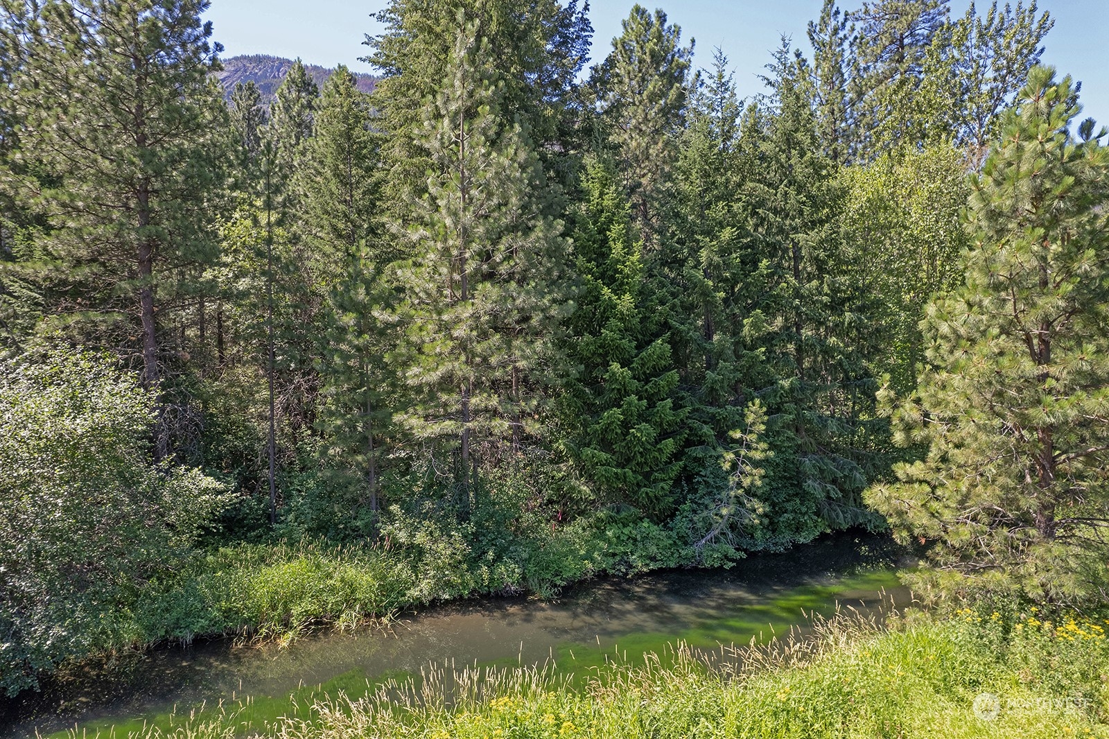 9 Methow Ranch Road