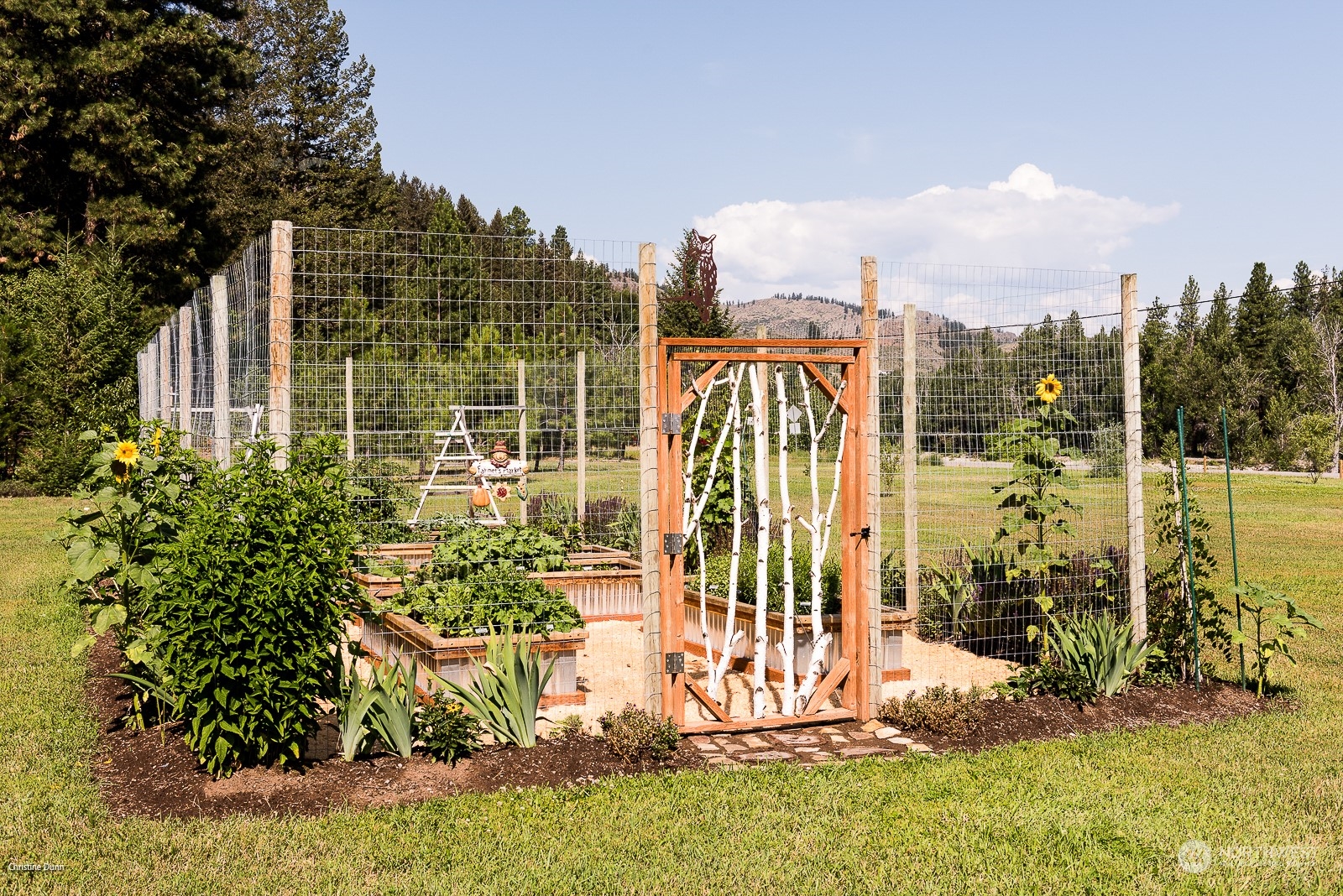 887 Twisp Carlton Road