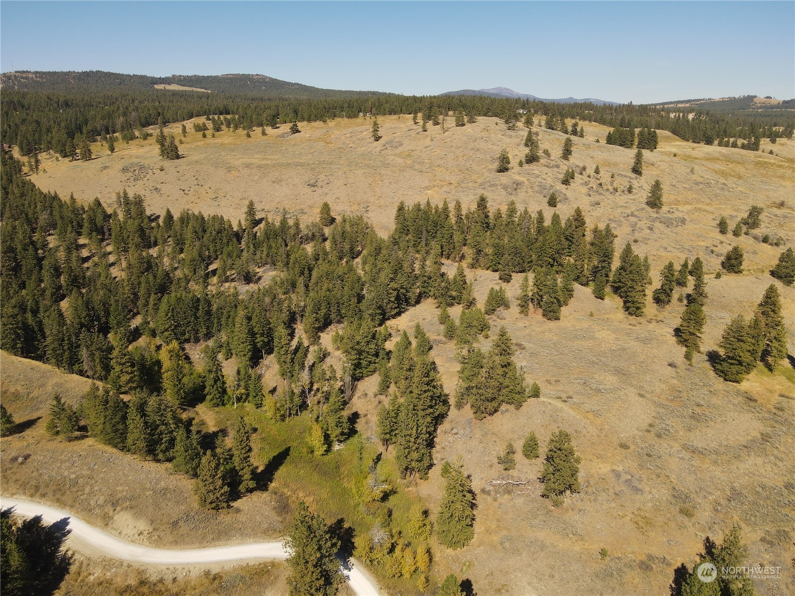 0 TBD Blue Grouse Road