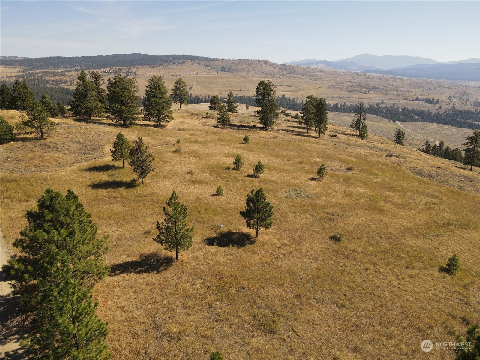 0 TBD Blue Grouse Road
