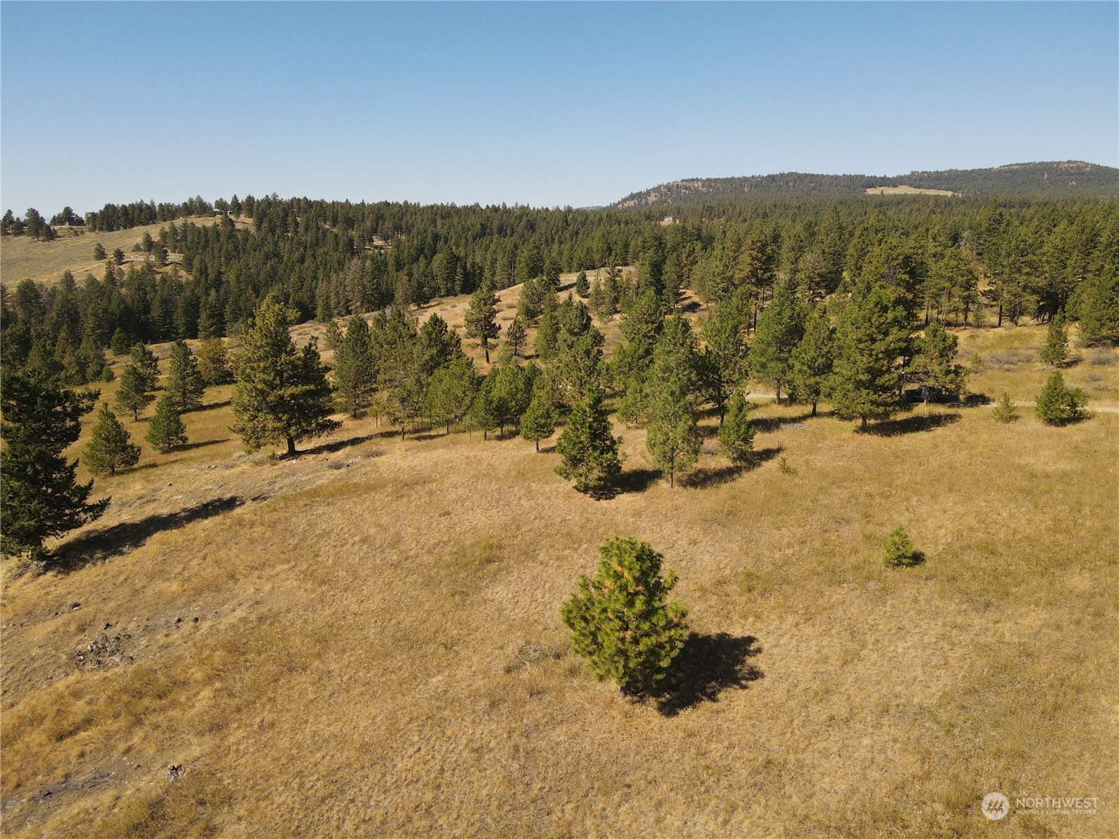 0 TBD Blue Grouse Road