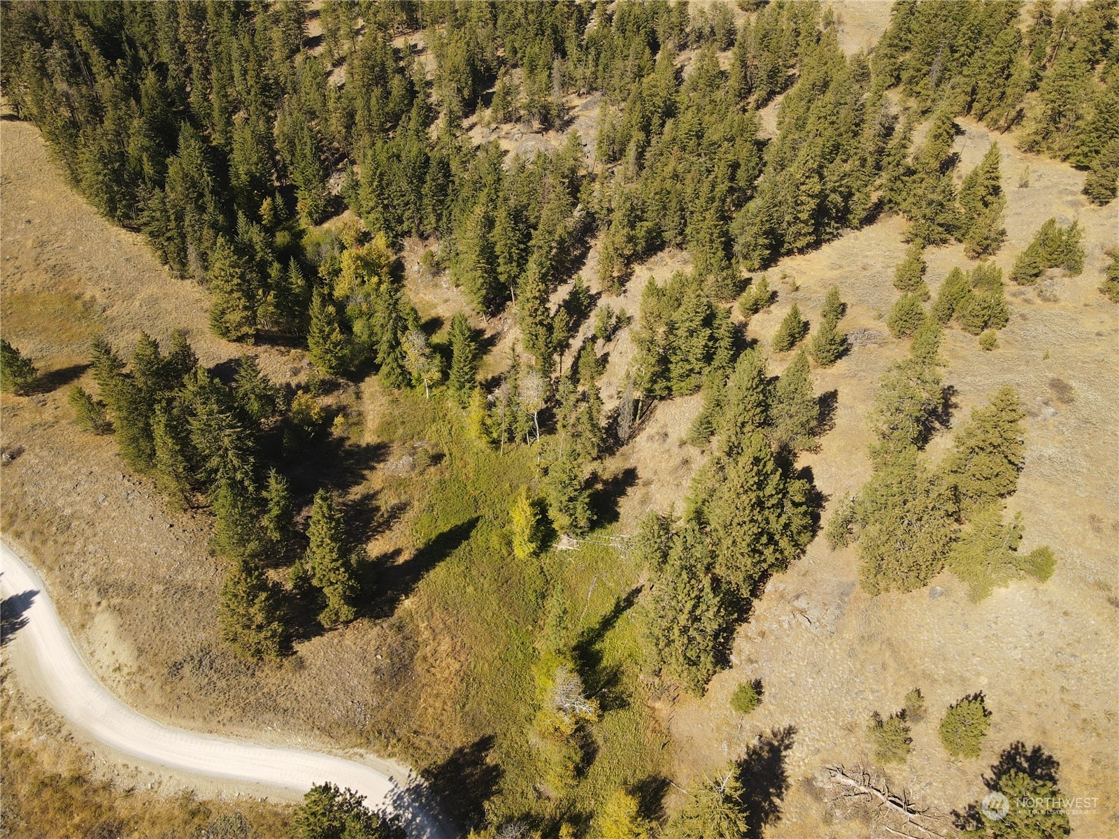 0 TBD Blue Grouse Road