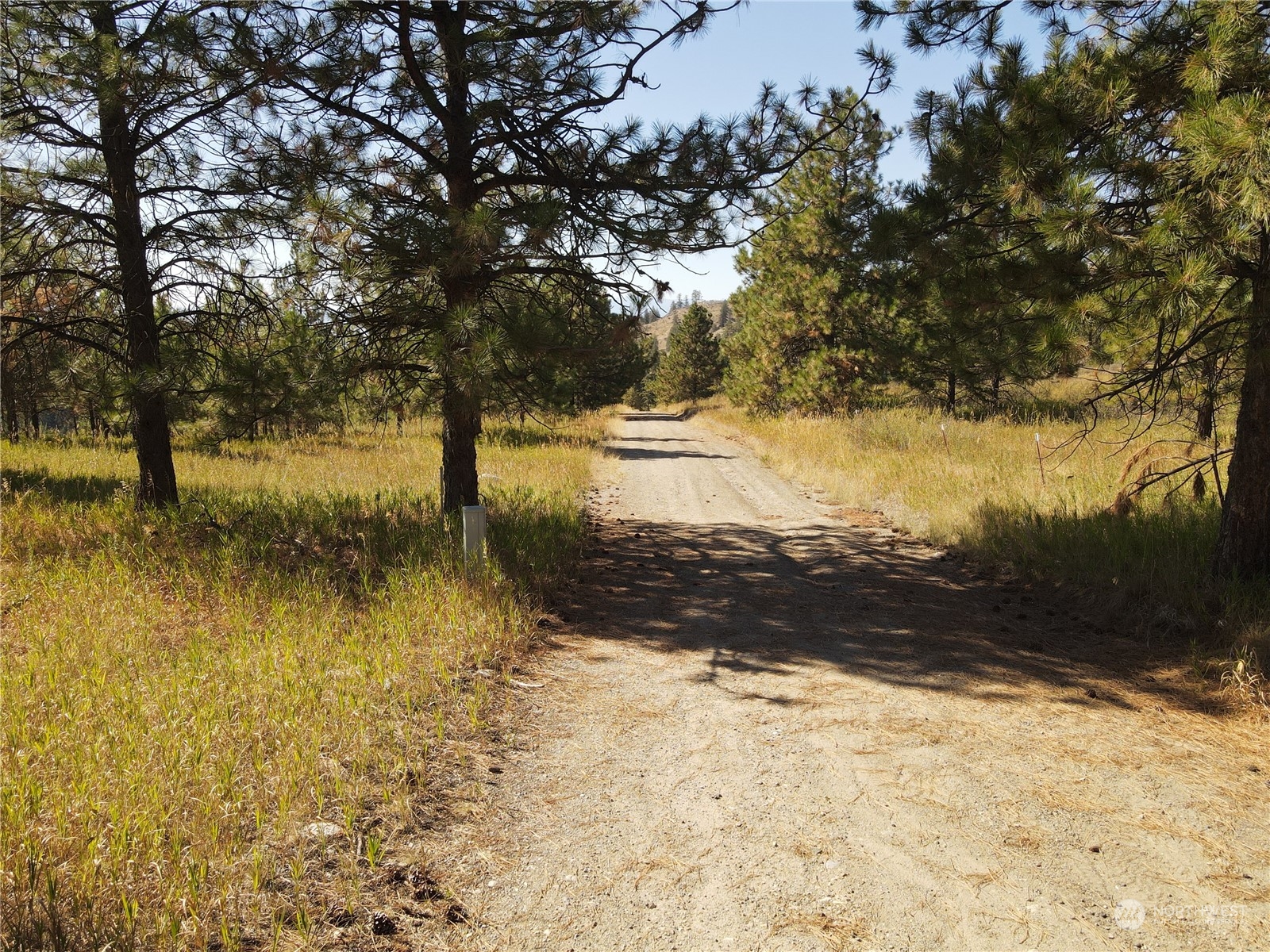 0 TBD Blue Grouse Road