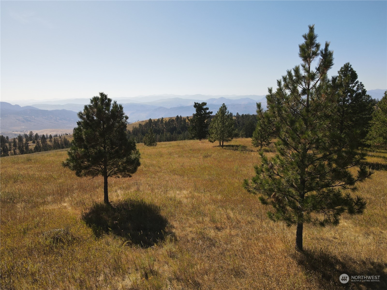 0 TBD Blue Grouse Road