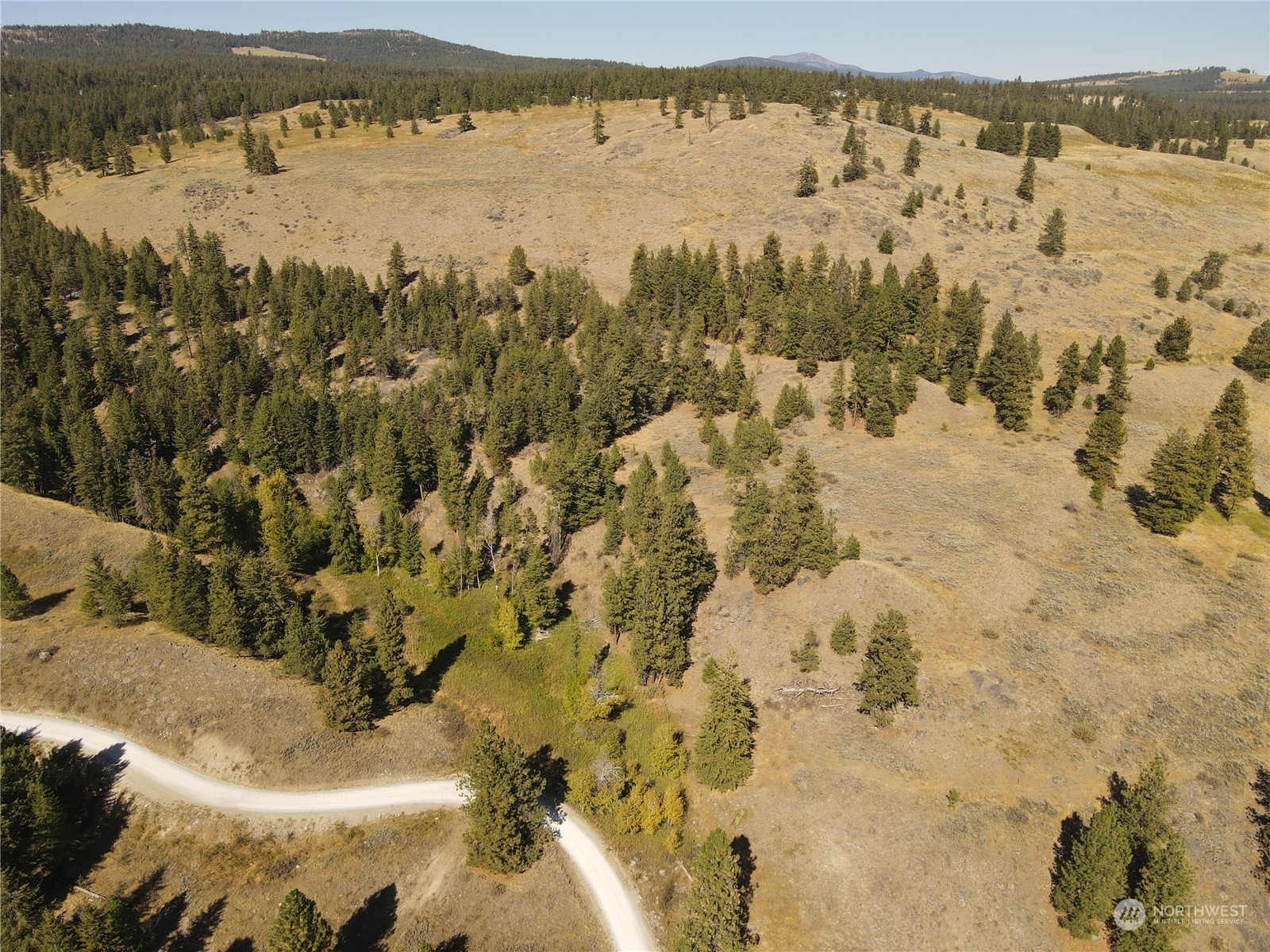 0 TBD Blue Grouse Road