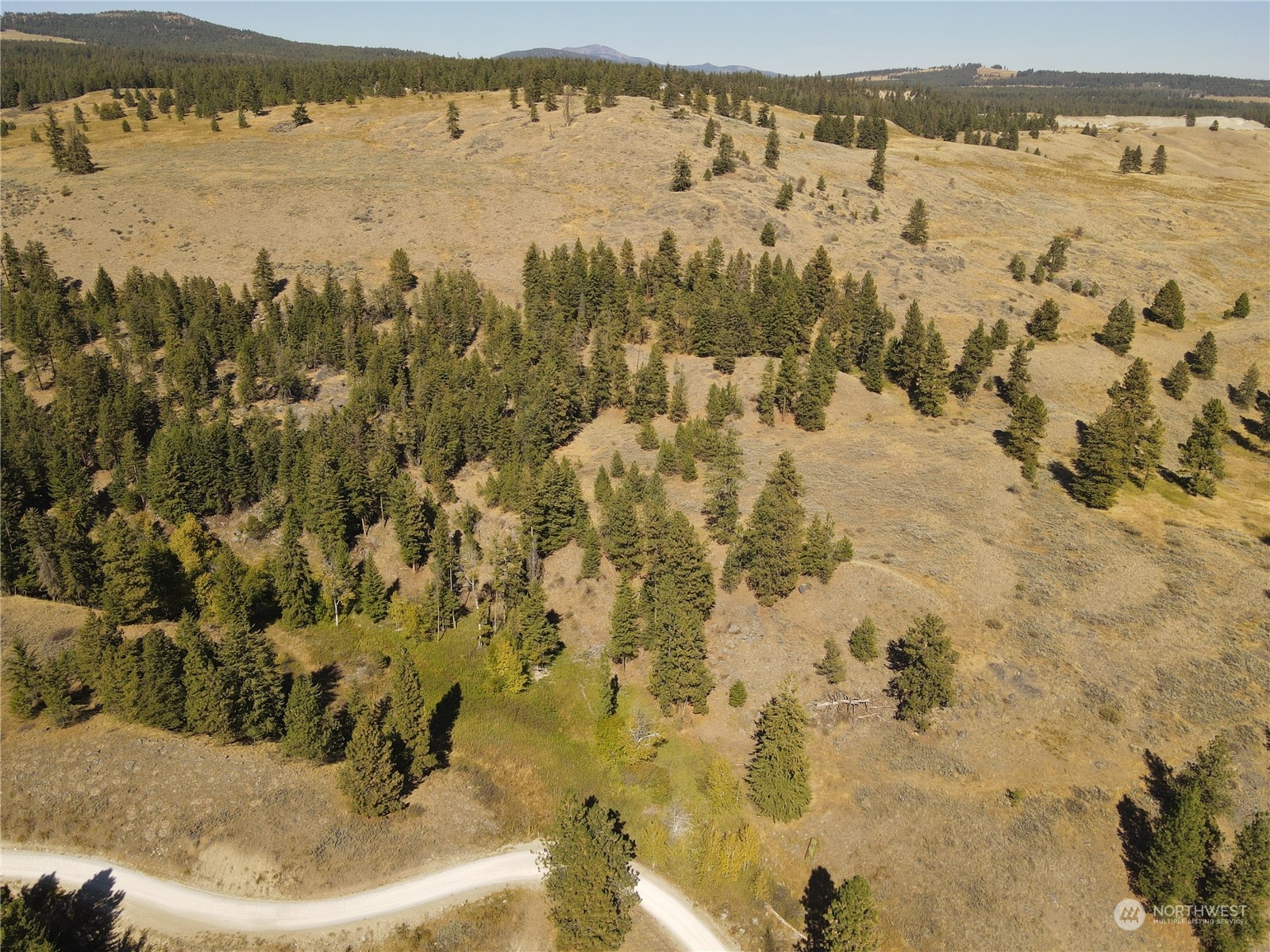 0 TBD Blue Grouse Road
