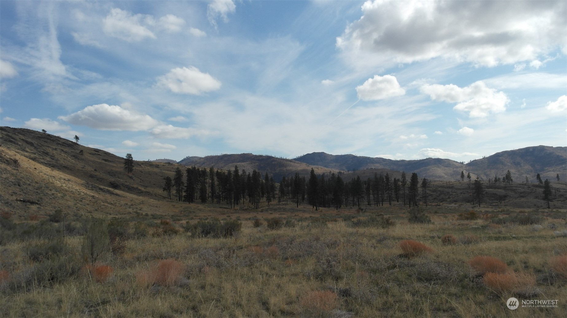 72 M Jason Lucas Road