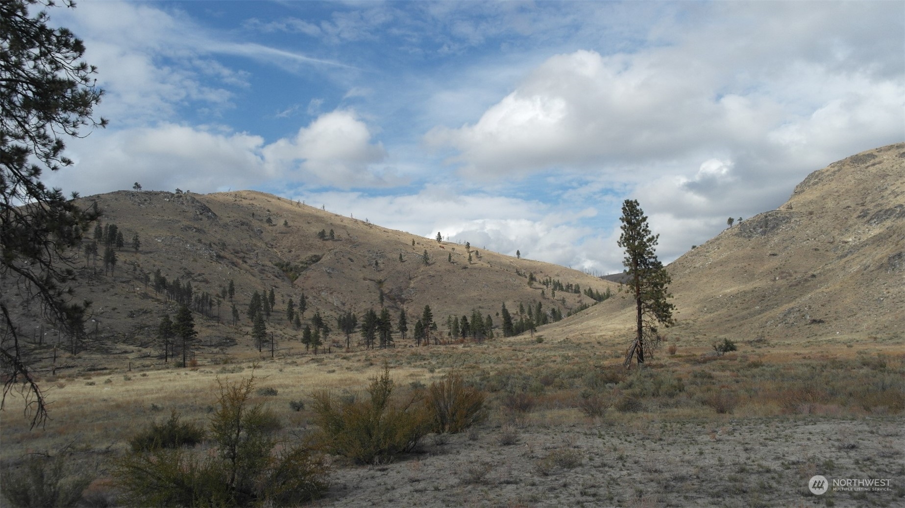 72 M Jason Lucas Road