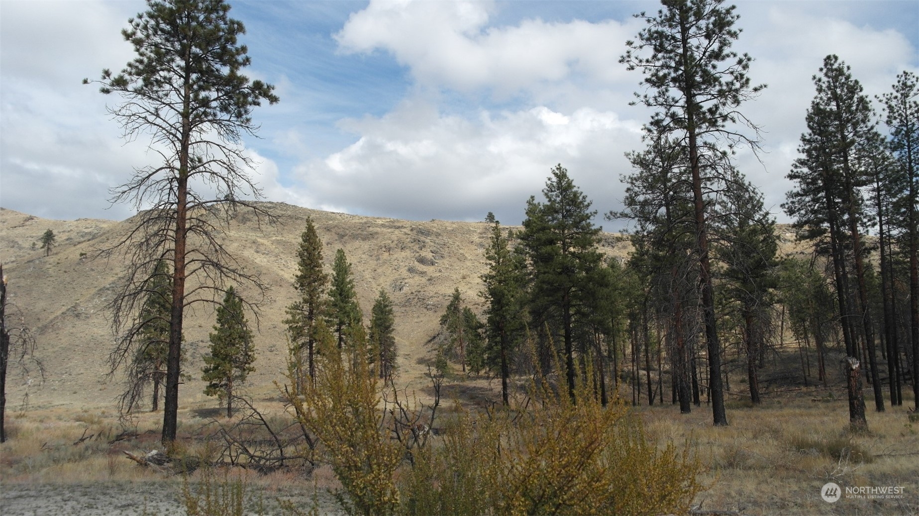 72 M Jason Lucas Road