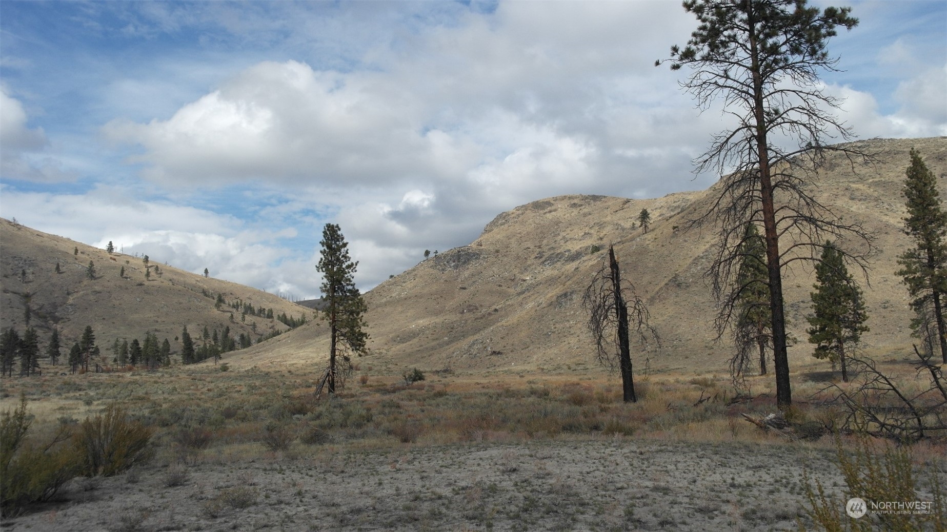 72 M Jason Lucas Road