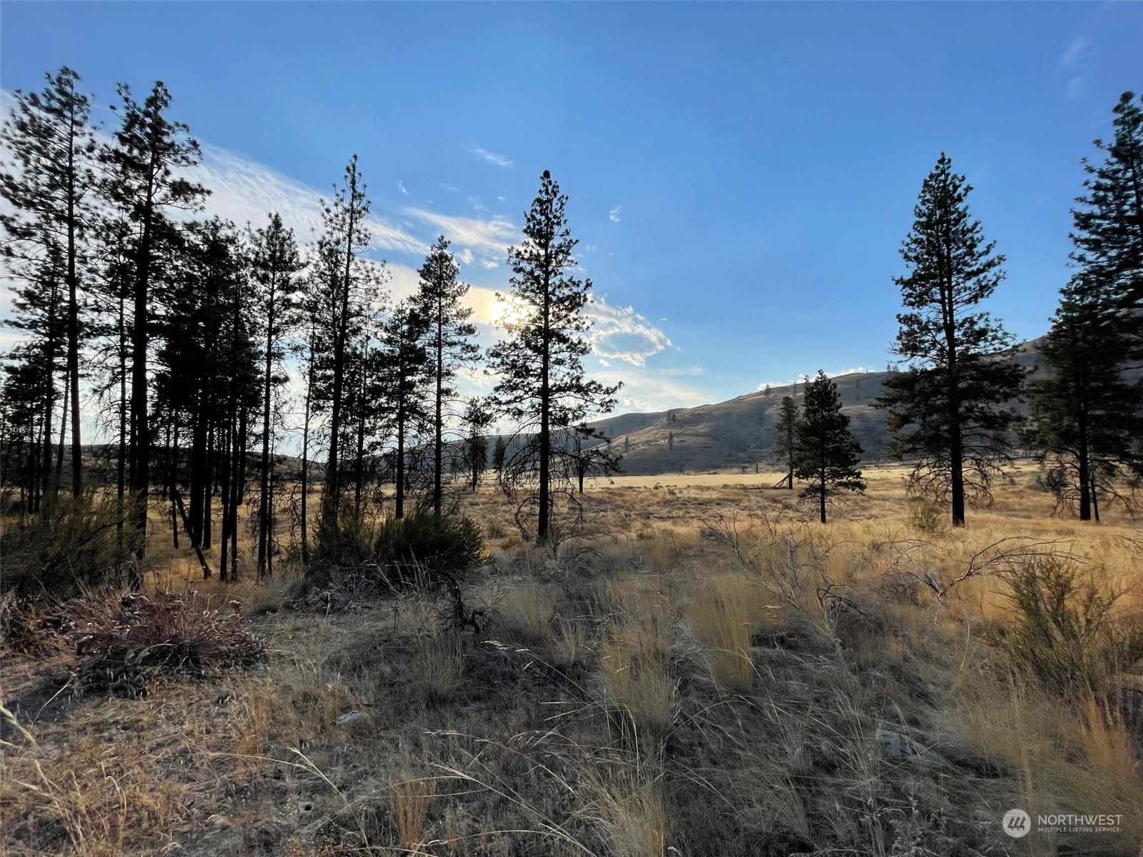 72 M Jason Lucas Road