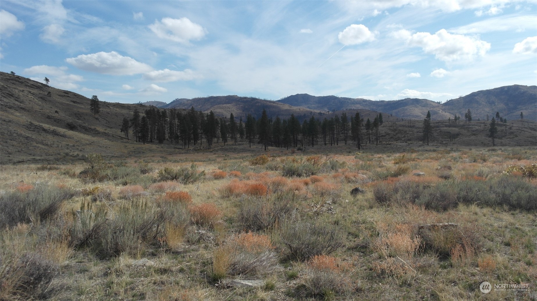 72 M Jason Lucas Road