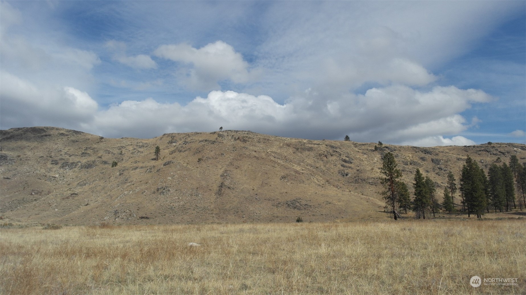 72 M Jason Lucas Road